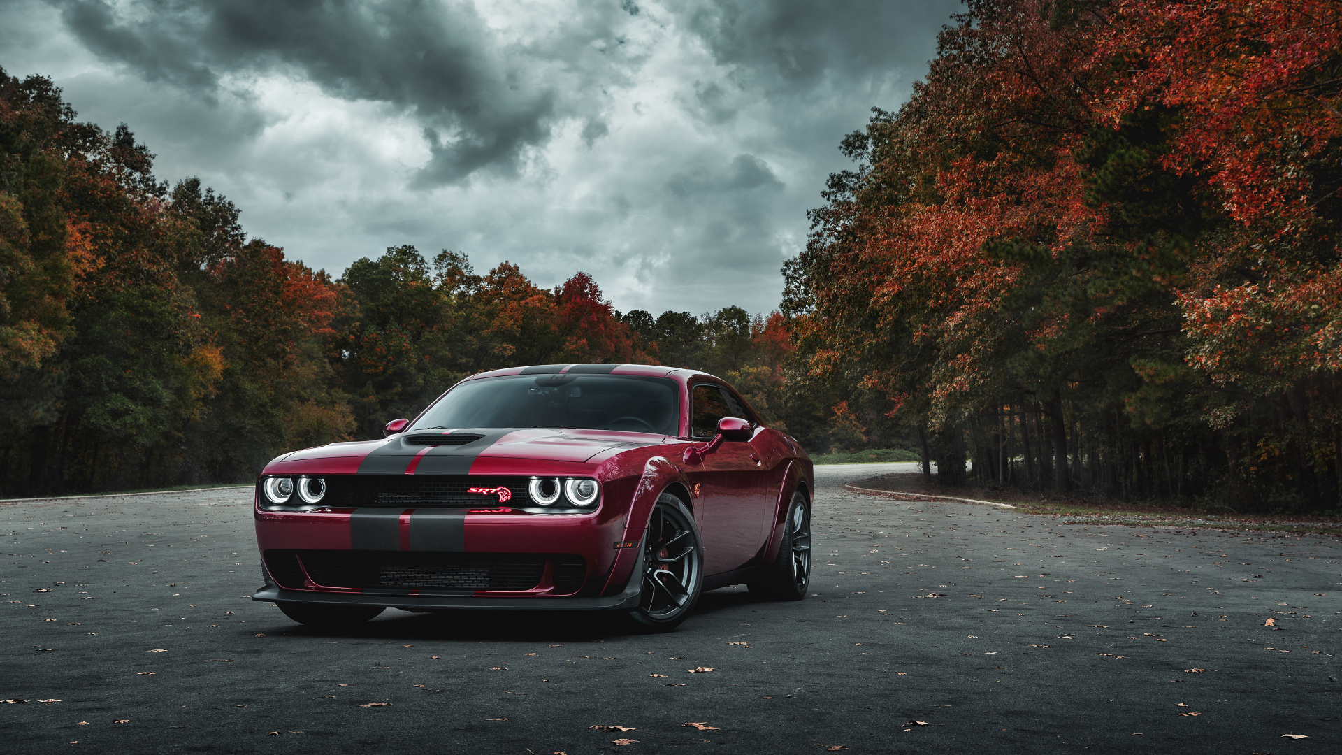 Обои Додж Чарджер СРТ мегеру, 2017 Додж Челленджер, dodge, Король, 2019 Додж Челленджер СРТ мегеру в разрешении 1920x1080
