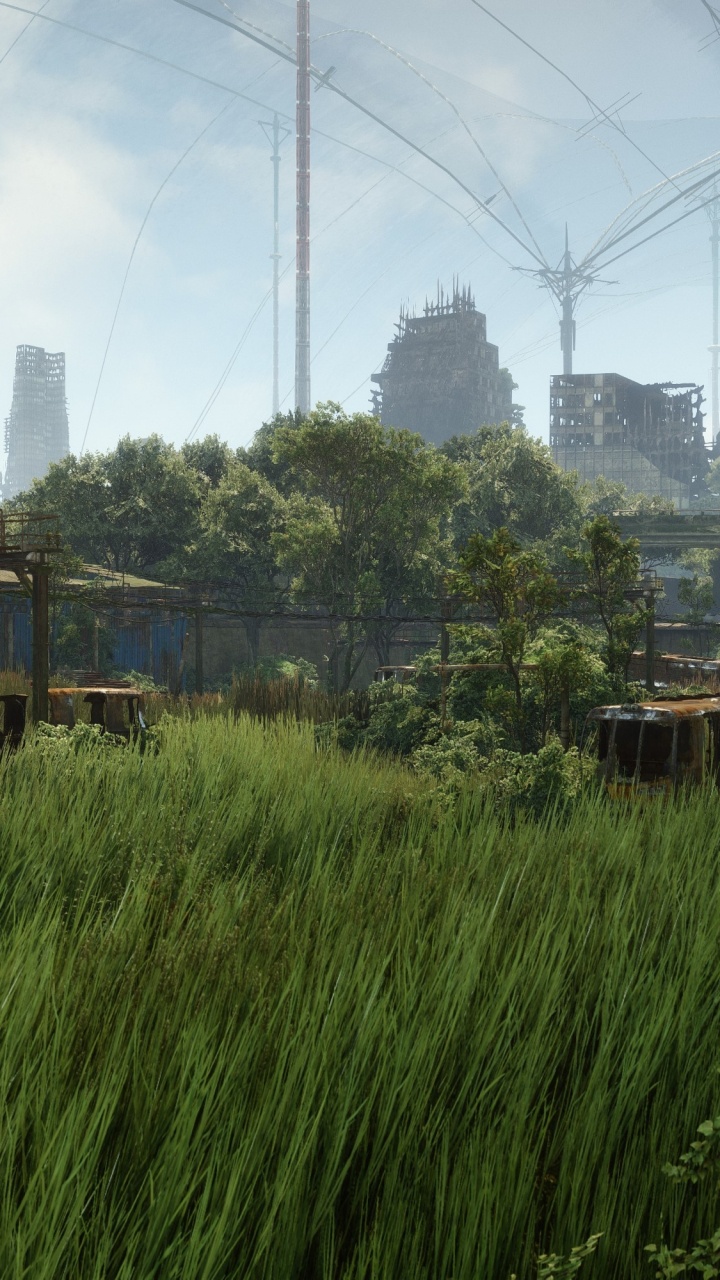 Обои crysis 3, растительность, биом, земельный участок, игра в разрешении 720x1280