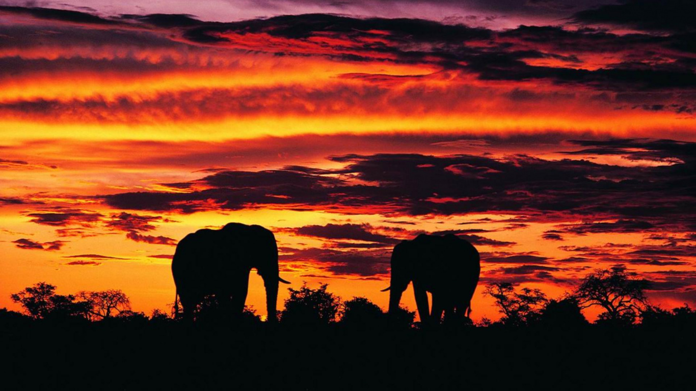 Обои послесвечение, закат, сумрак, вечер, восход солнца в разрешении 1366x768