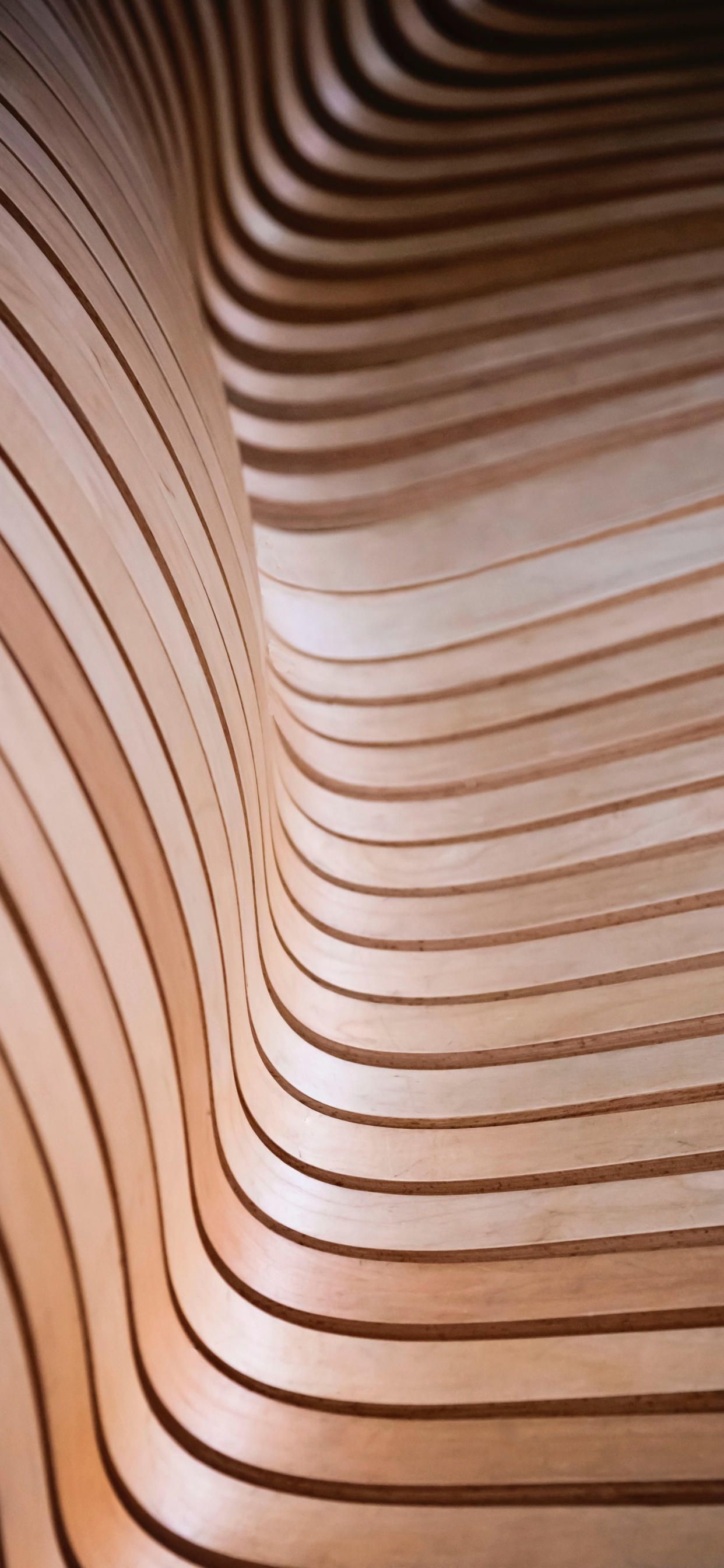 Обои линия, потолок, узор, крупный план, коричневый цвет в разрешении 1242x2688