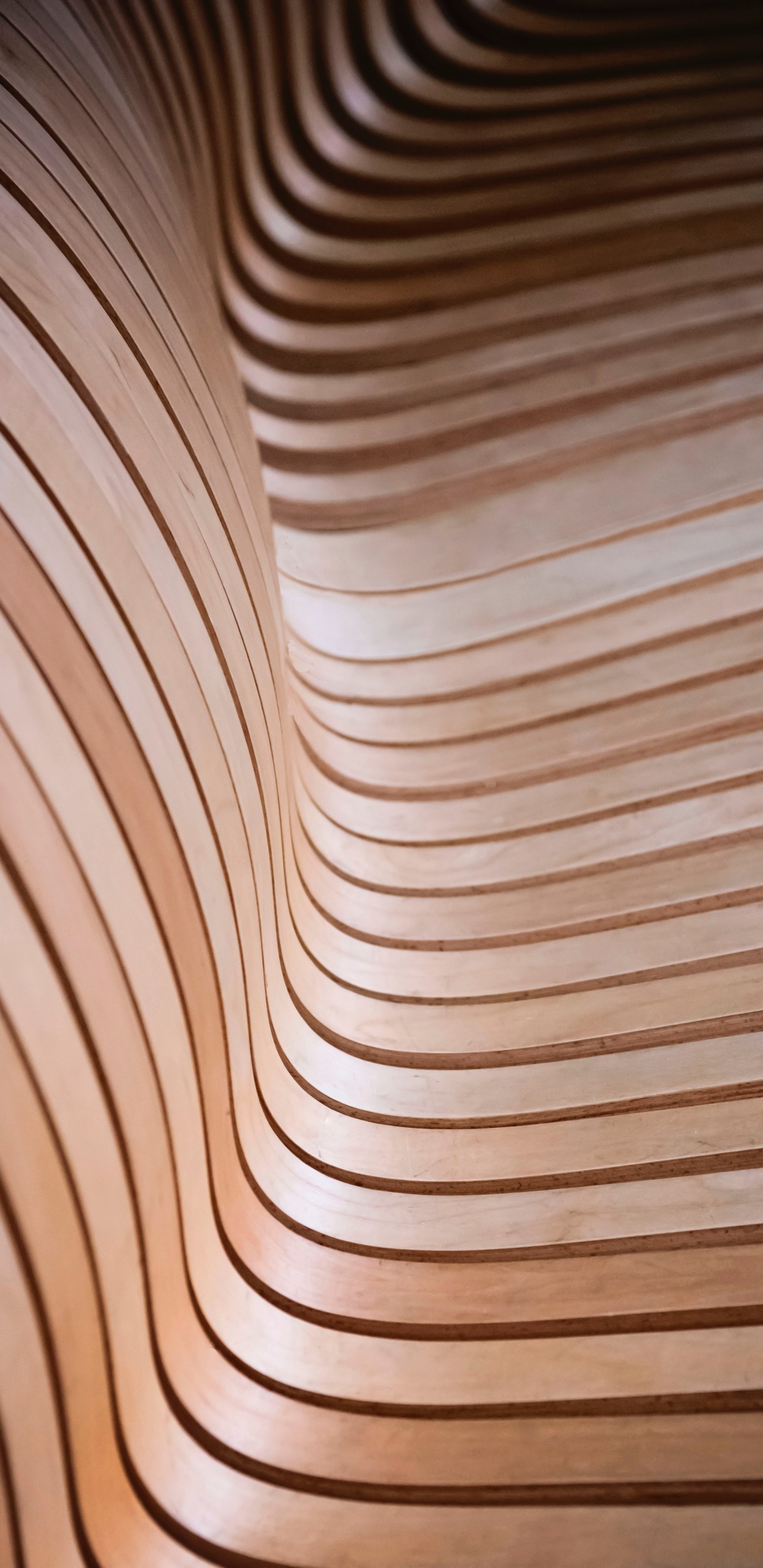 Обои линия, потолок, узор, крупный план, коричневый цвет в разрешении 1440x2960