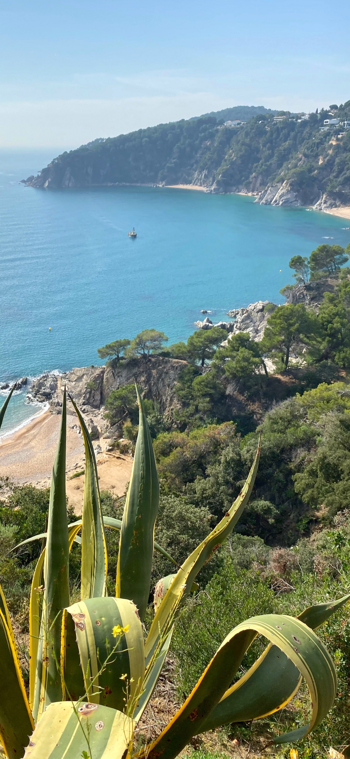 Обои побережье, растительность, растительное сообщество, океан, наземное растение в разрешении 1125x2436