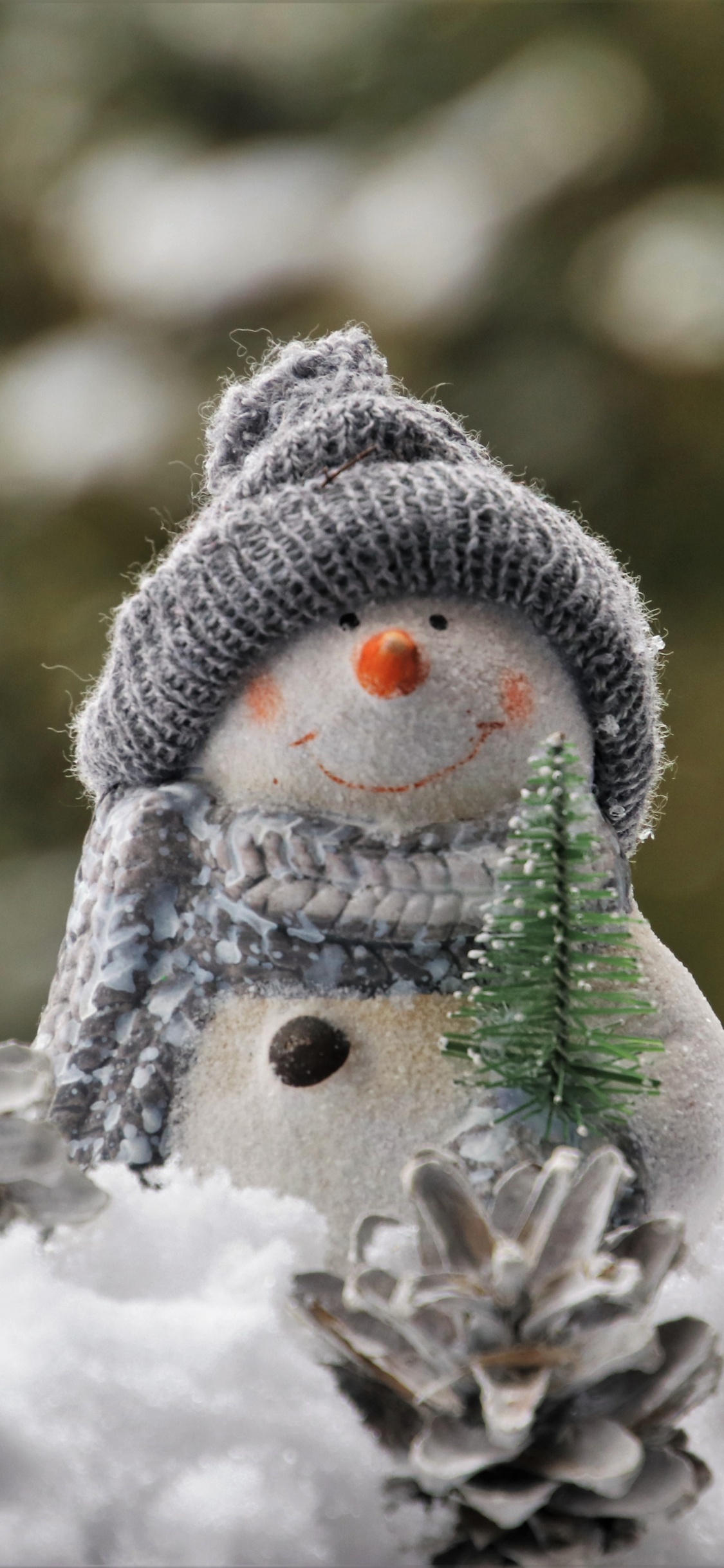 Обои Снеговик, снег, зима, мороз, замораживание в разрешении 1125x2436