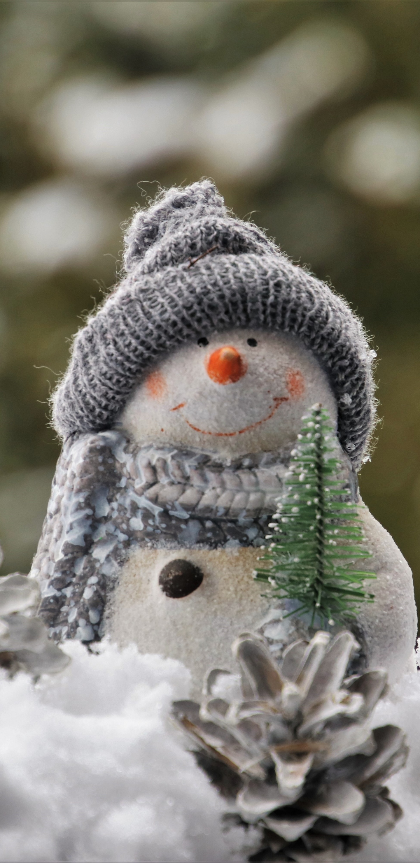 Обои Снеговик, снег, зима, мороз, замораживание в разрешении 1440x2960