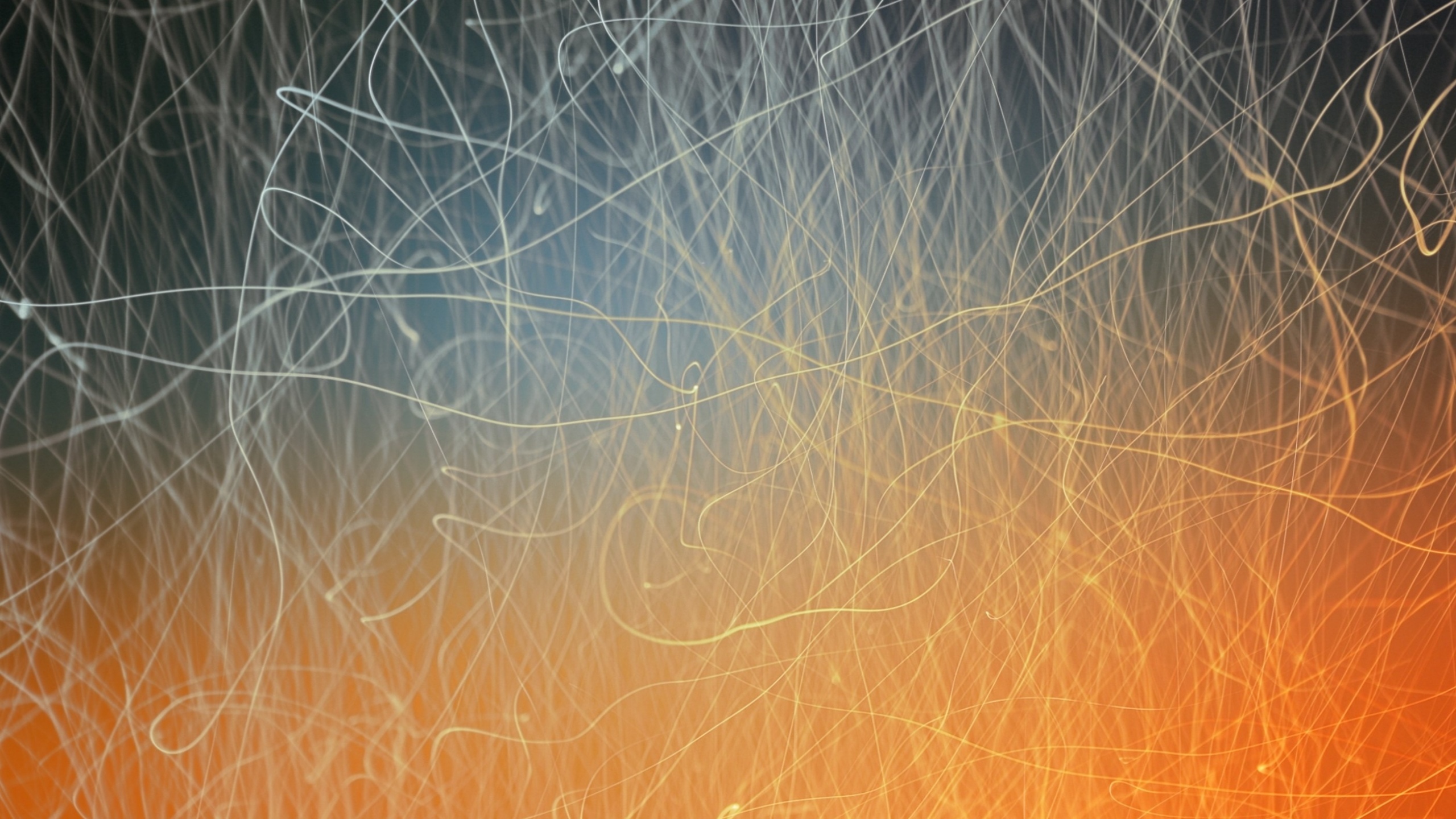 Обои абстрактное искусство, арт, линия, атмосфера, узор в разрешении 2560x1440