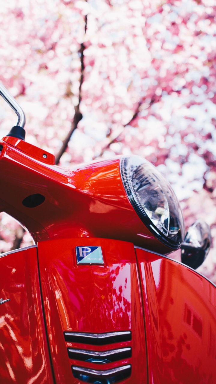 Обои Веспа SXL по 150, Веспа, Скутер, мотоцикл, красный цвет в разрешении 720x1280