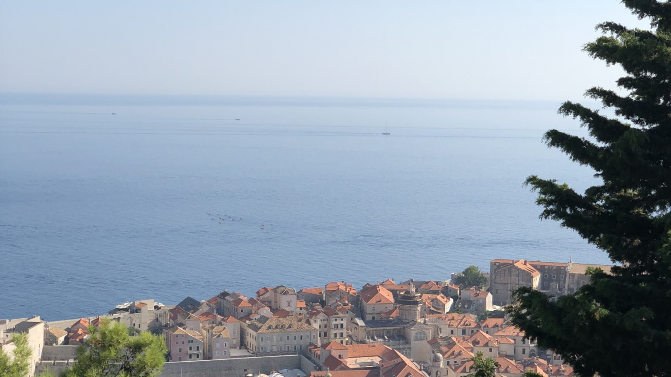 Обои недвижимость, жилой район, крыша, вечнозеленое растение, хвойное дерево в разрешении 1366x768