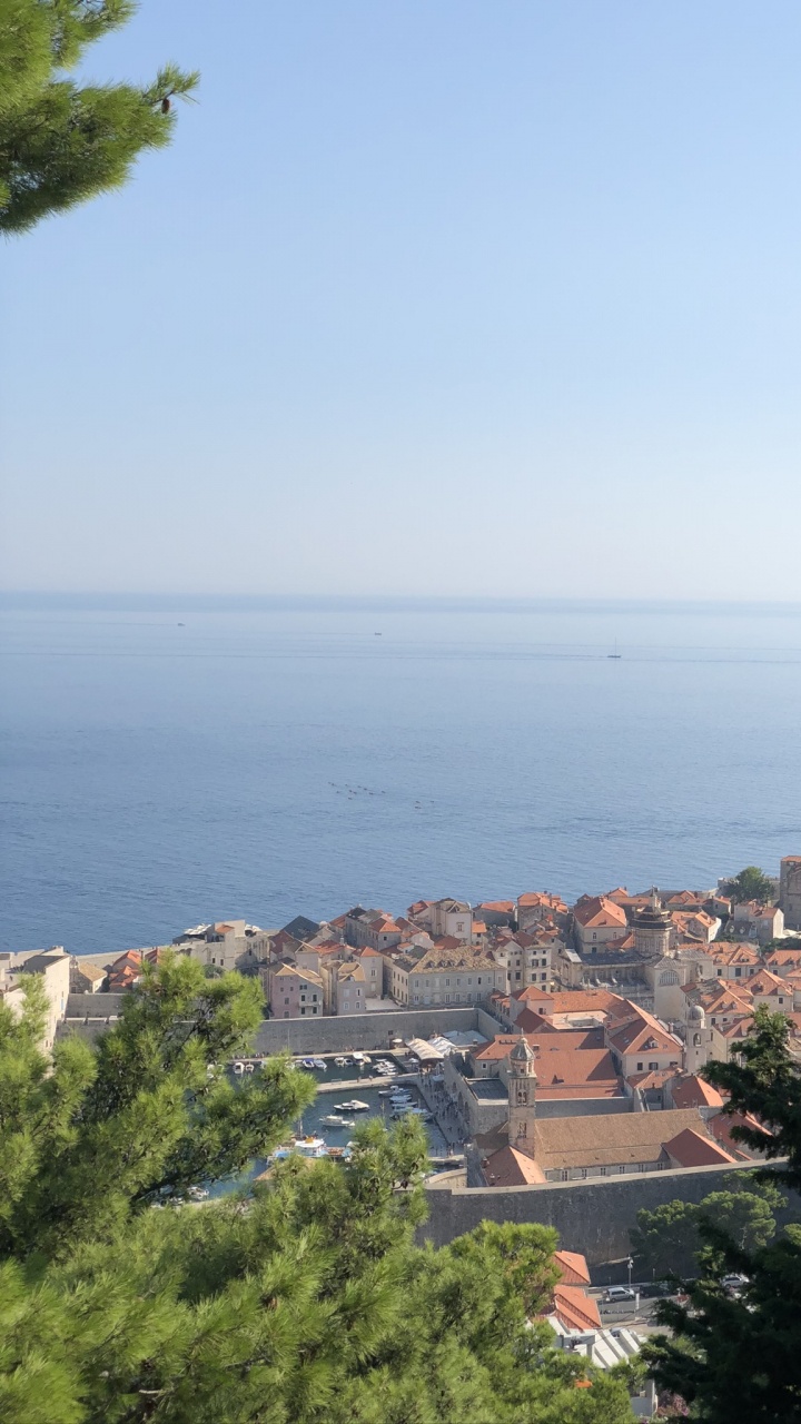 Обои недвижимость, жилой район, крыша, вечнозеленое растение, хвойное дерево в разрешении 720x1280