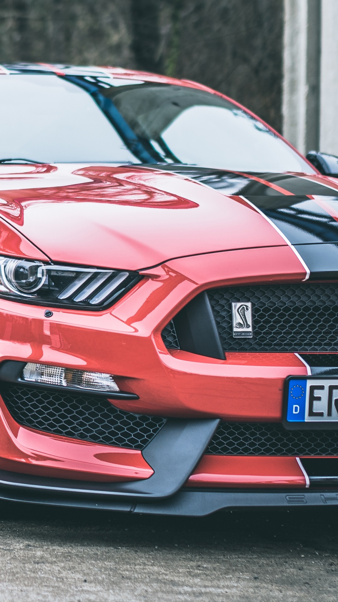 Обои Шелби Мустанг, 2020 Форд Мустанг, компания Ford, легковые автомобили, Элеонора в разрешении 1080x1920