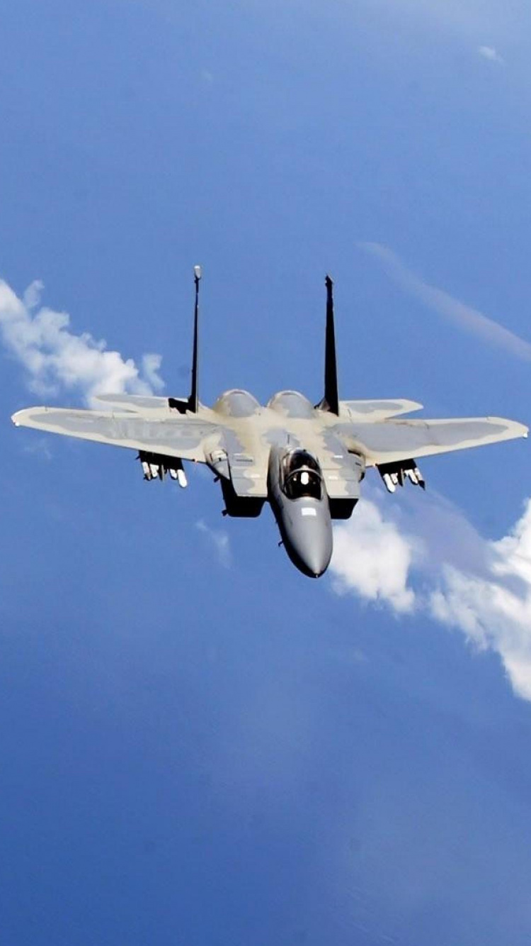 Обои JF-17 для блока 3, самолеты, военный самолет, макдоннелл Дуглас, самолет в разрешении 750x1334