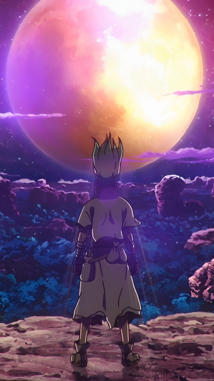 Обои сэнку исигами, доктор камень, Тайдзю Оки, аниме, мир в разрешении 750x1334