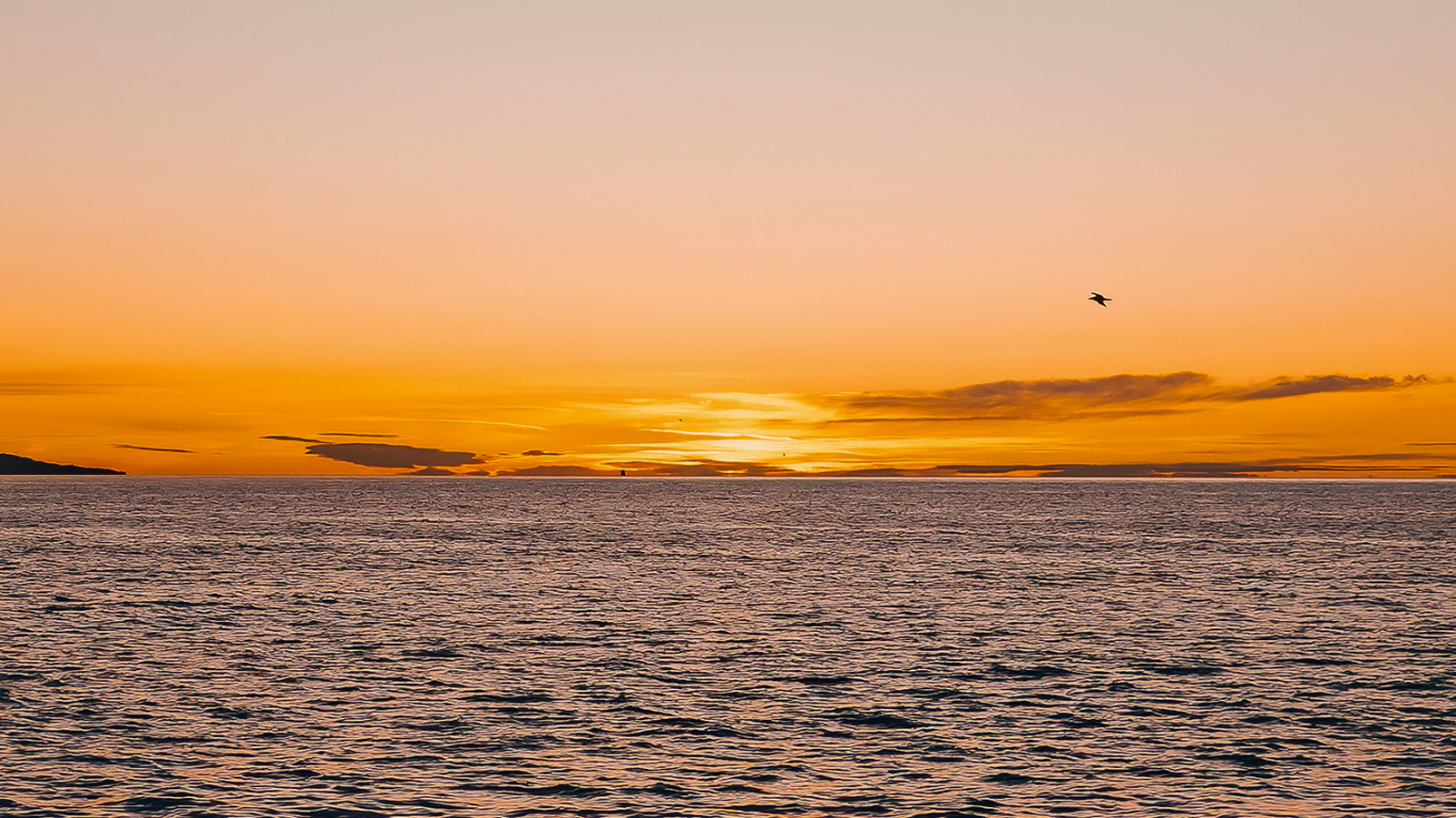 Обои горизонт, хардкор рейв микстейп 001, вода, гидроресурсы, атмосфера в разрешении 1366x768