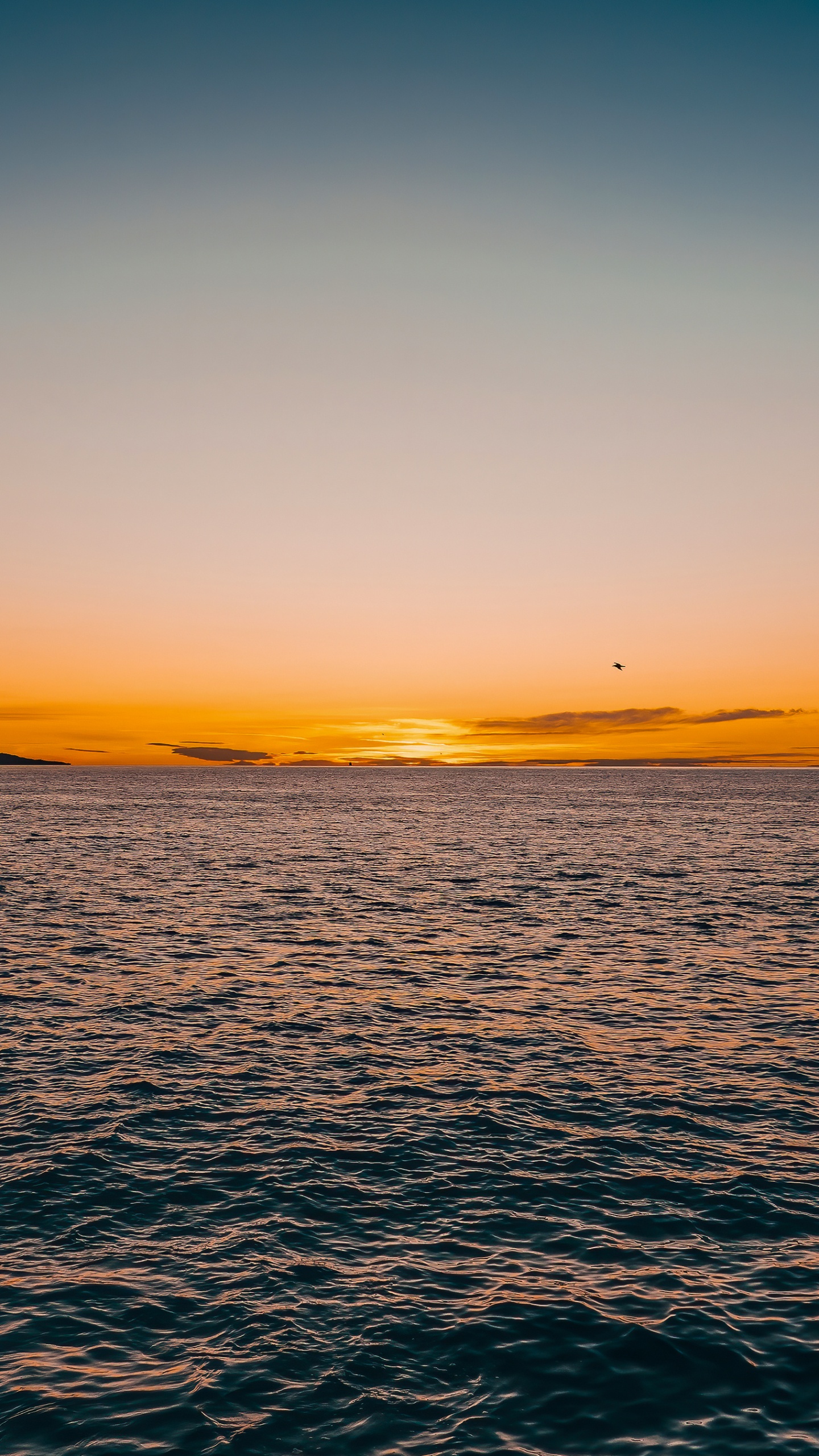 Обои горизонт, хардкор рейв микстейп 001, вода, гидроресурсы, атмосфера в разрешении 1440x2560