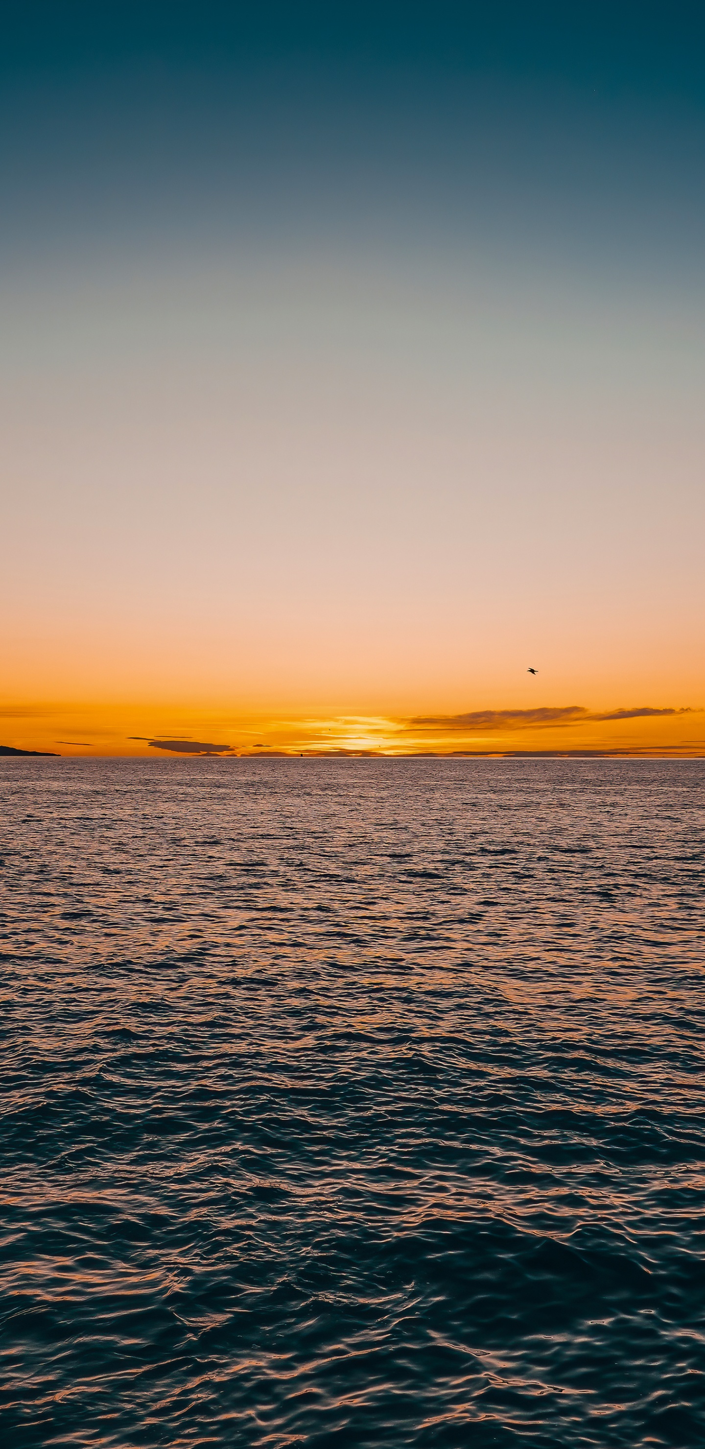 Обои горизонт, хардкор рейв микстейп 001, вода, гидроресурсы, атмосфера в разрешении 1440x2960