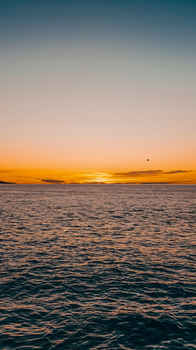 Обои горизонт, хардкор рейв микстейп 001, вода, гидроресурсы, атмосфера в разрешении 750x1334
