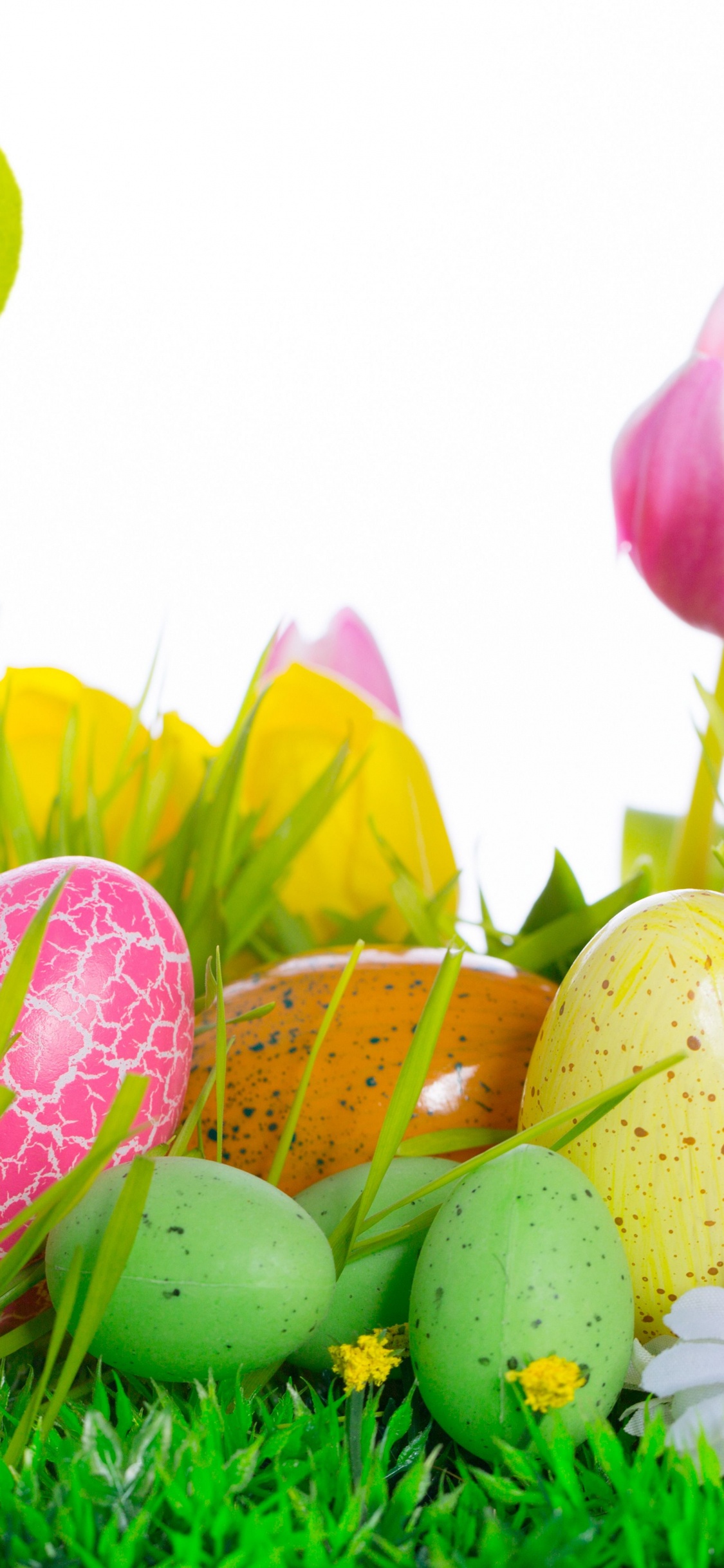 Обои пасхальное яйцо, праздник, пасха, растение, весна в разрешении 1125x2436