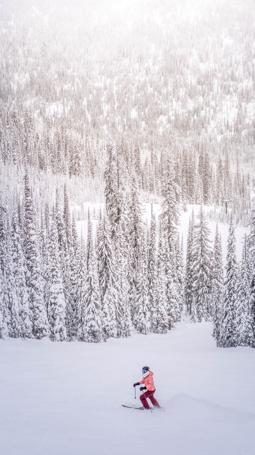 Обои лыжи, осина, горные лыжи, зима, дерево в разрешении 1080x1920