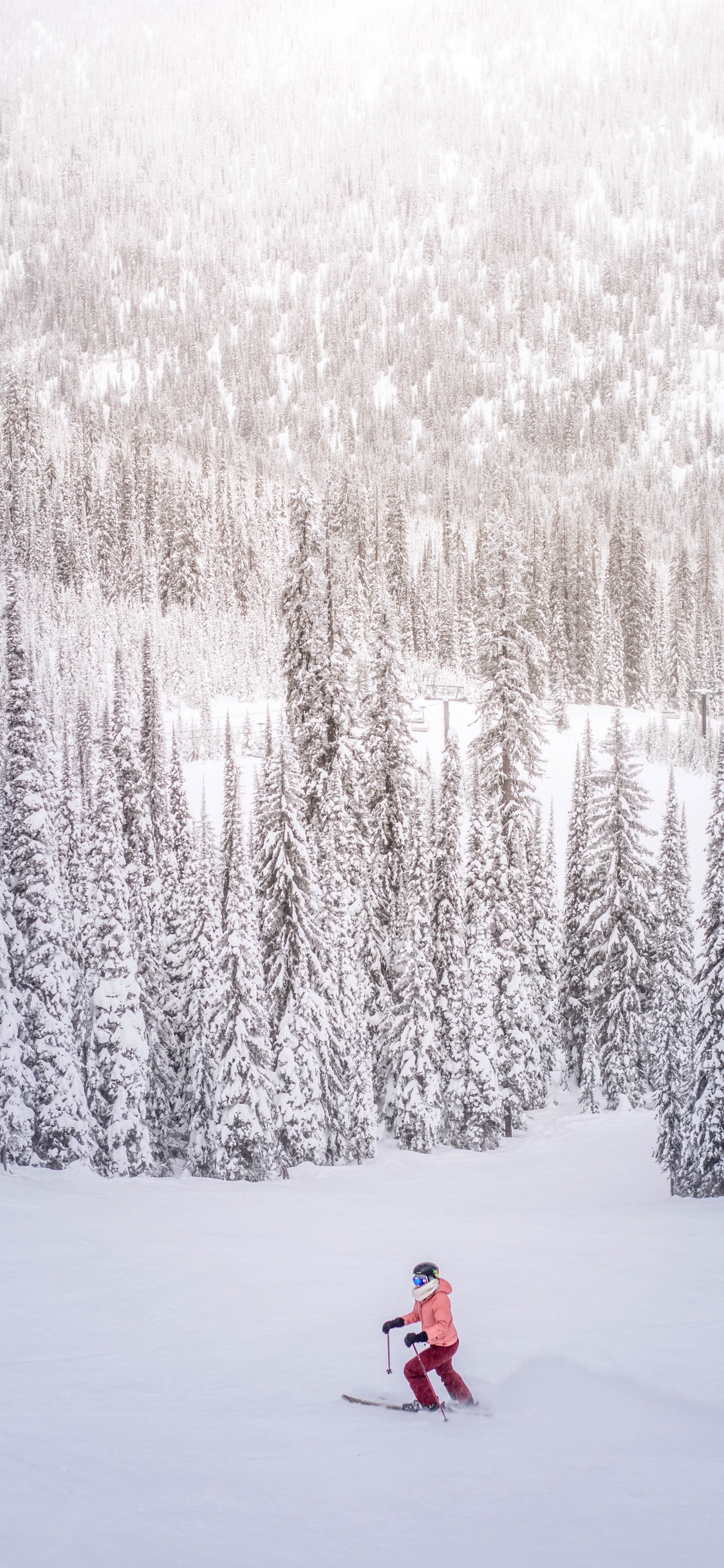 Обои лыжи, осина, горные лыжи, зима, дерево в разрешении 1125x2436