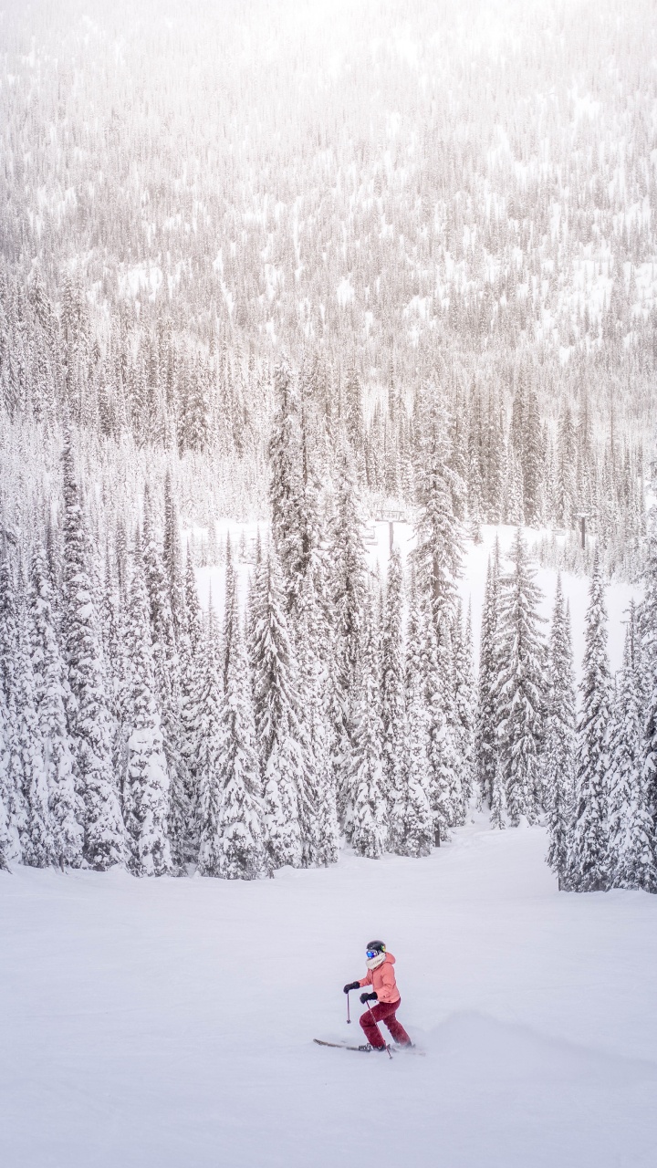 Обои лыжи, осина, горные лыжи, зима, дерево в разрешении 720x1280