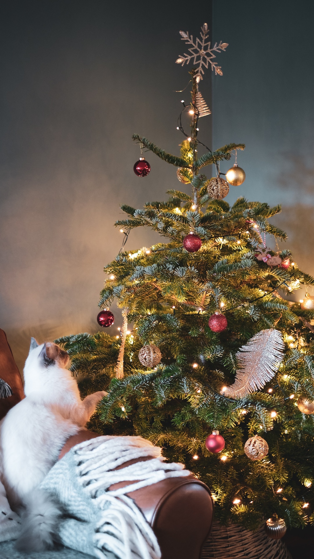 Обои елка, Дерево-топпер, Рождество, орнамент, рождественский орнамент в разрешении 1080x1920