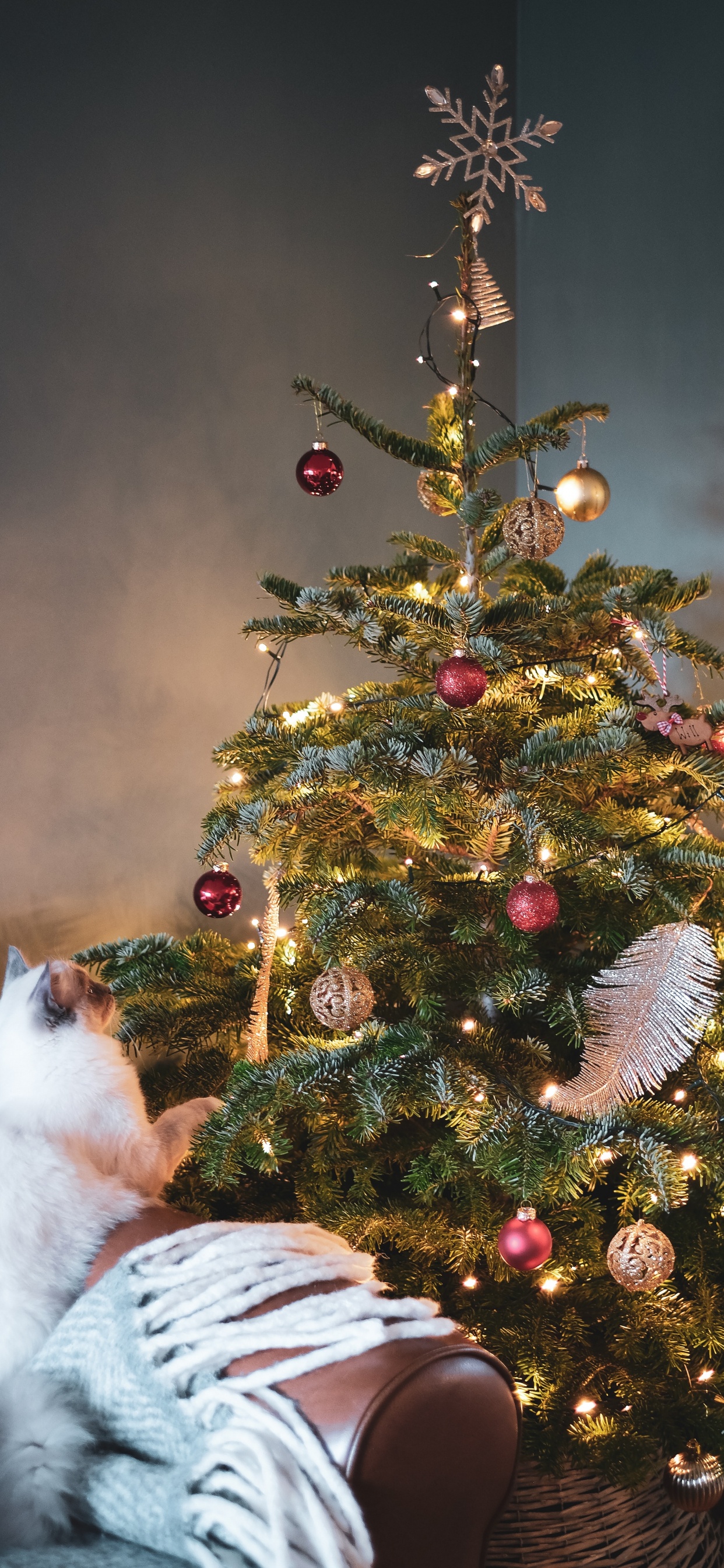 Обои елка, Дерево-топпер, Рождество, орнамент, рождественский орнамент в разрешении 1242x2688