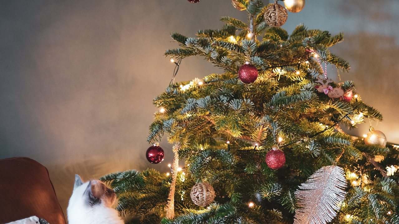 Обои елка, Дерево-топпер, Рождество, орнамент, рождественский орнамент в разрешении 1280x720