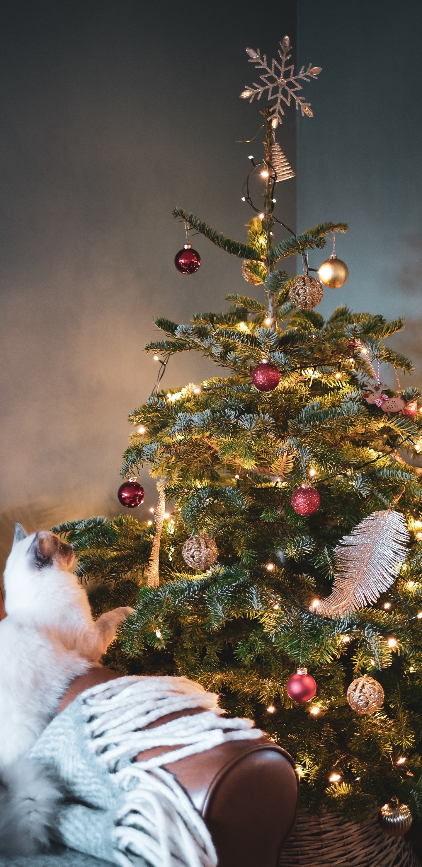 Обои елка, Дерево-топпер, Рождество, орнамент, рождественский орнамент в разрешении 1440x2960