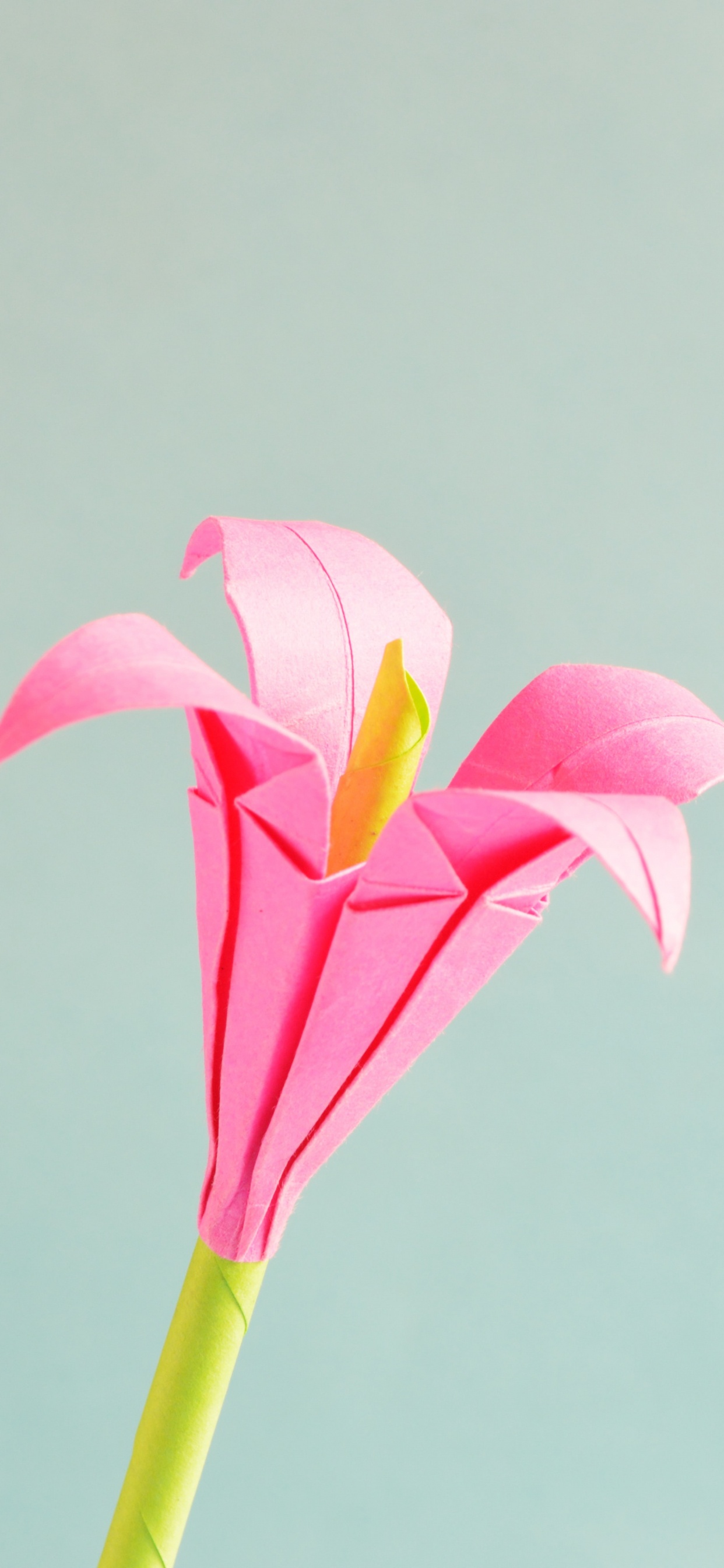 Обои оригами, оригами бумаги, ремесло, цветок, розовый в разрешении 1242x2688