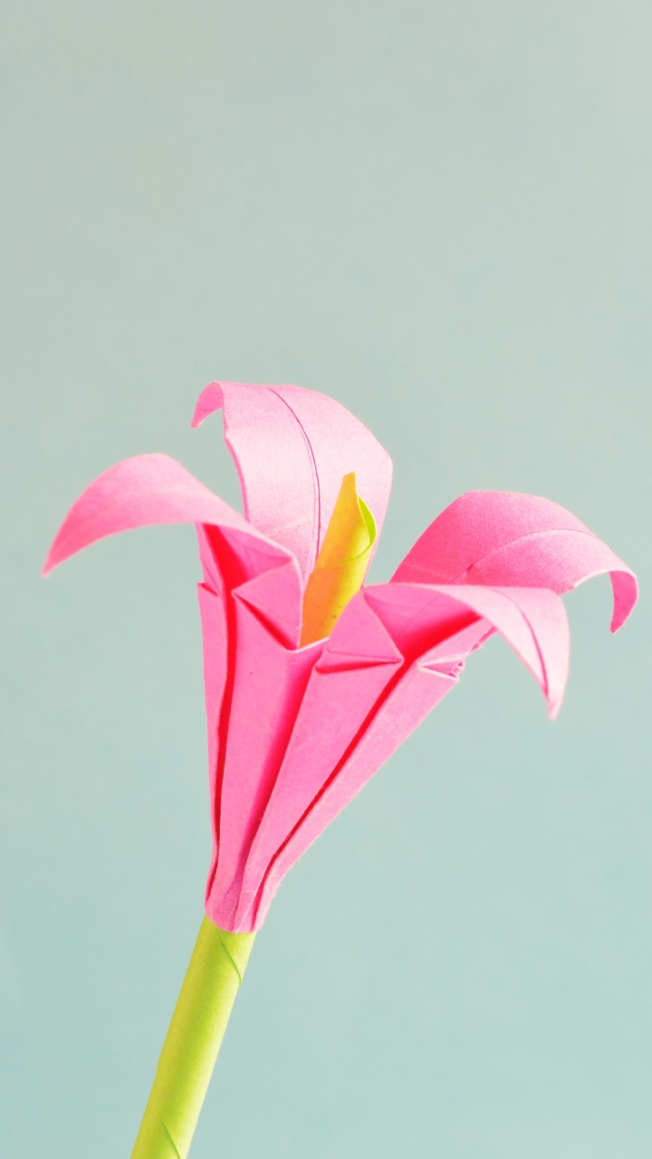 Обои оригами, оригами бумаги, ремесло, цветок, розовый в разрешении 720x1280