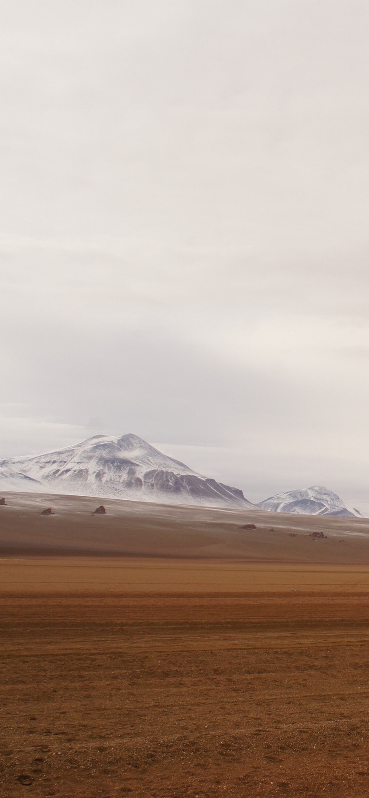 Обои apple, iPhone, iPhone X, яблоко, ios в разрешении 1242x2688