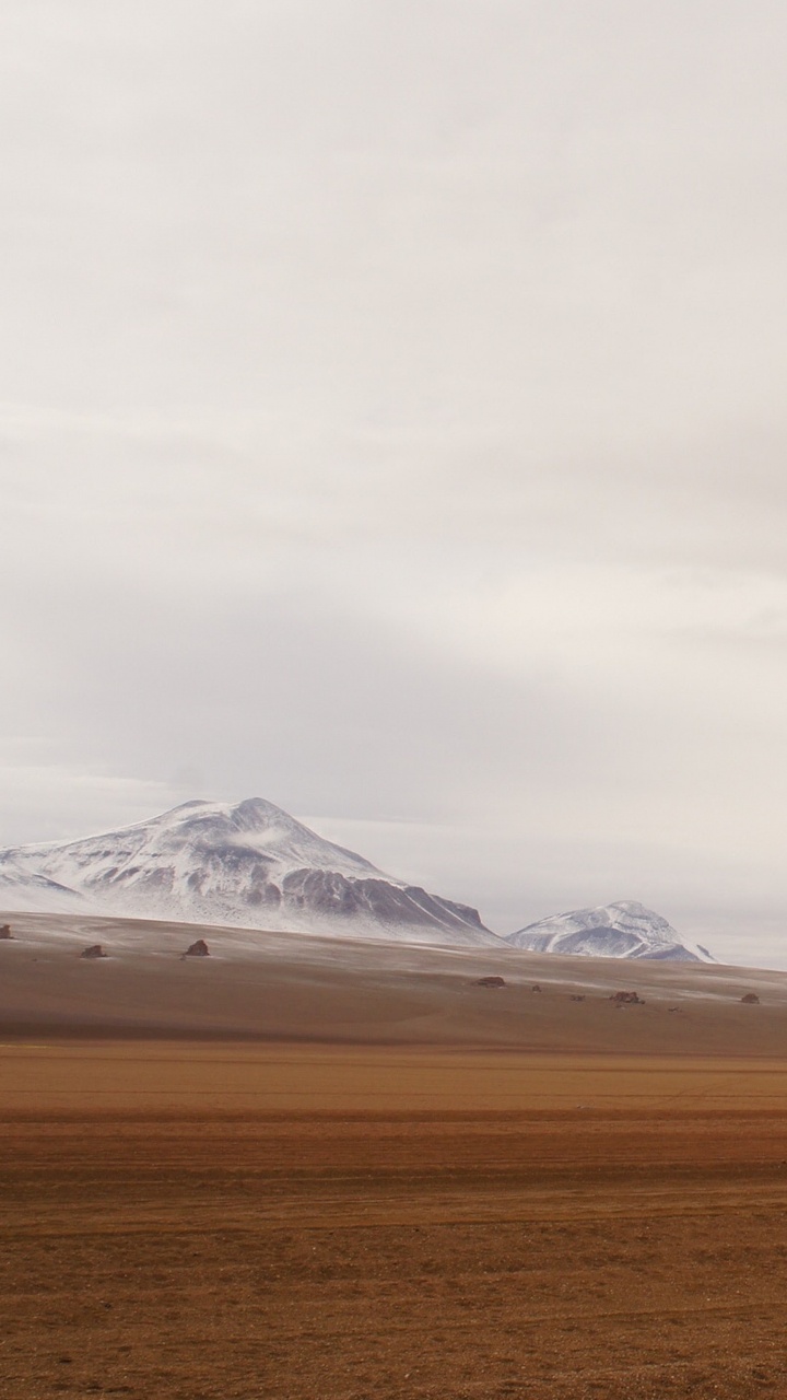 Обои apple, iPhone, iPhone X, яблоко, ios в разрешении 720x1280