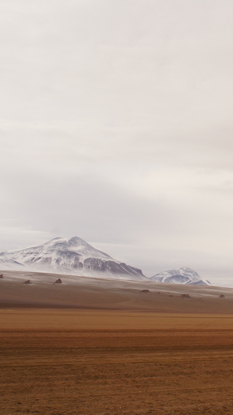 Обои apple, iPhone, iPhone X, яблоко, ios в разрешении 750x1334