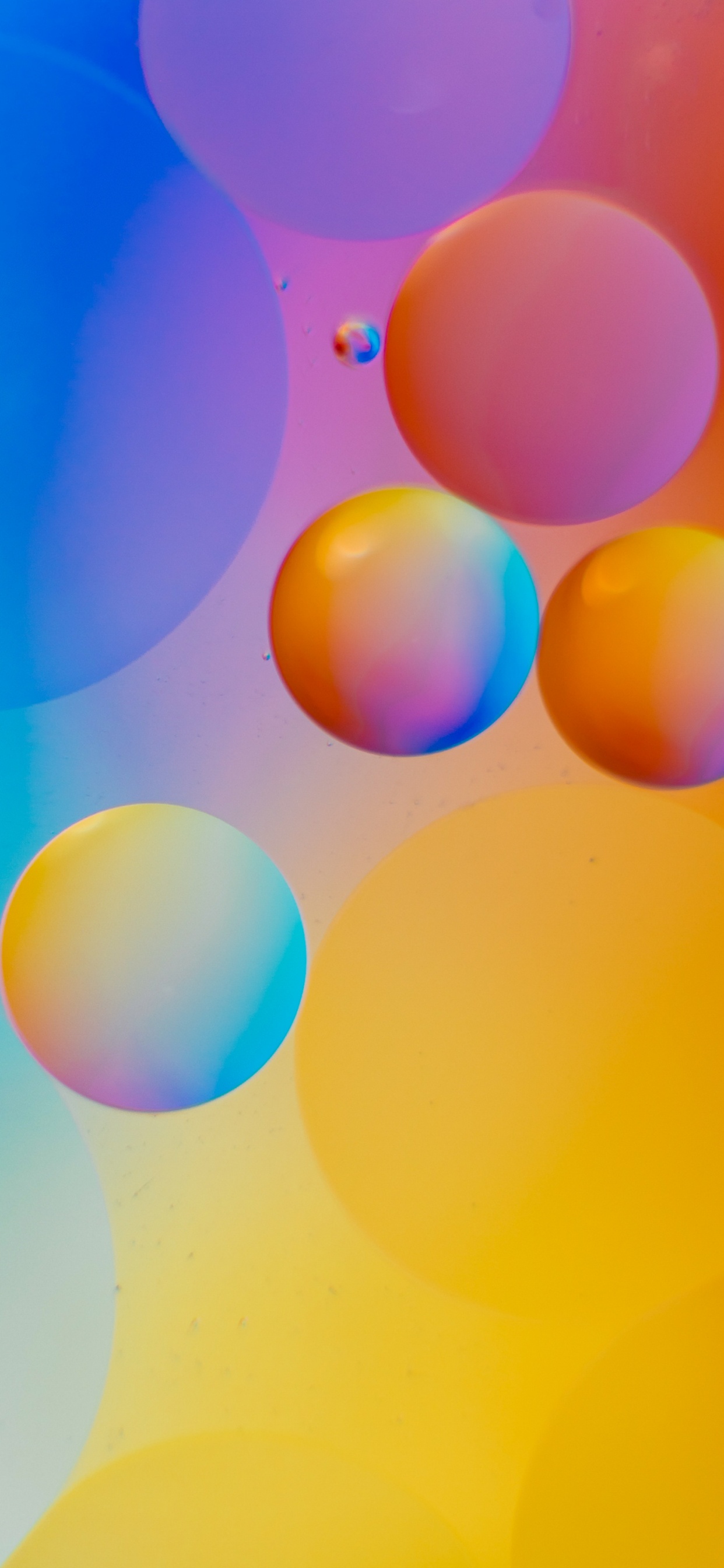 Обои Апельсин, математика, наука, красочность, арт в разрешении 1242x2688