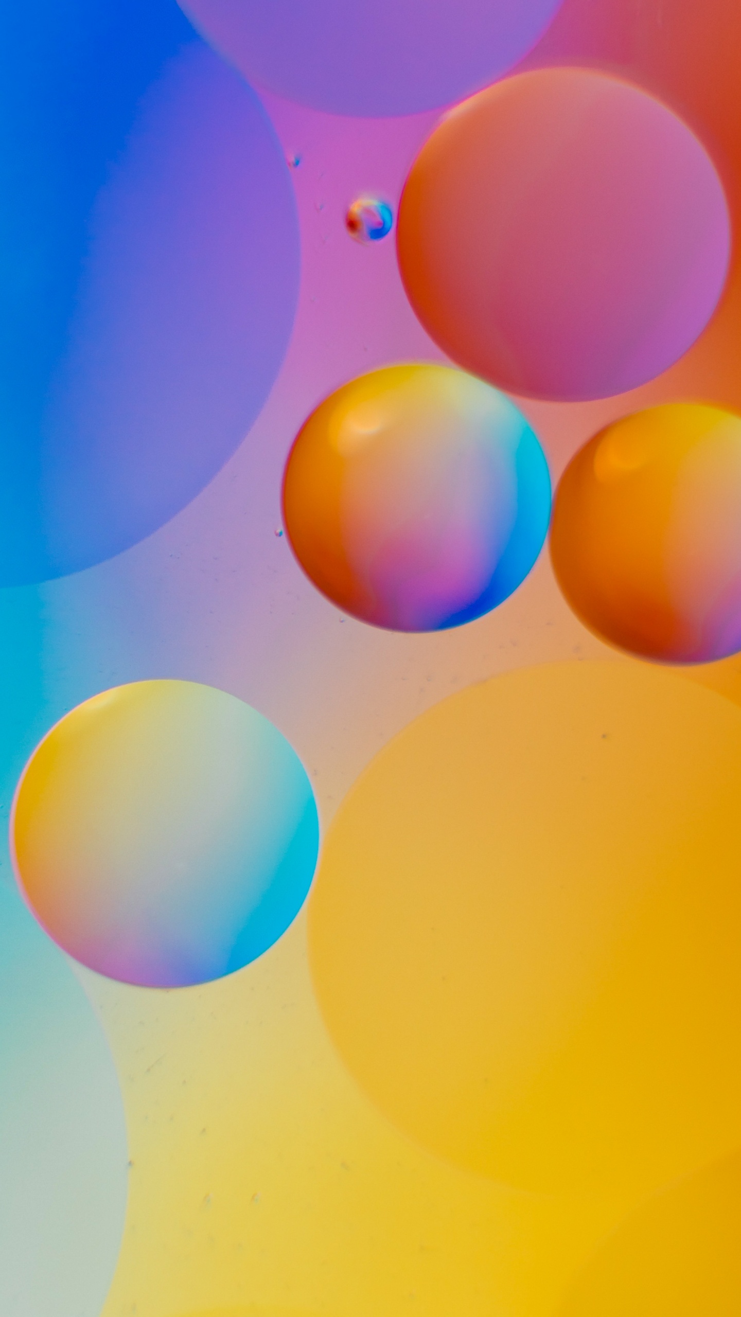 Обои Апельсин, математика, наука, красочность, арт в разрешении 1440x2560