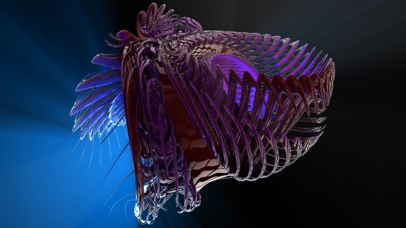 Обои пурпур, Фиолетовый, иностранец, макросъемка, морская биология в разрешении 1366x768
