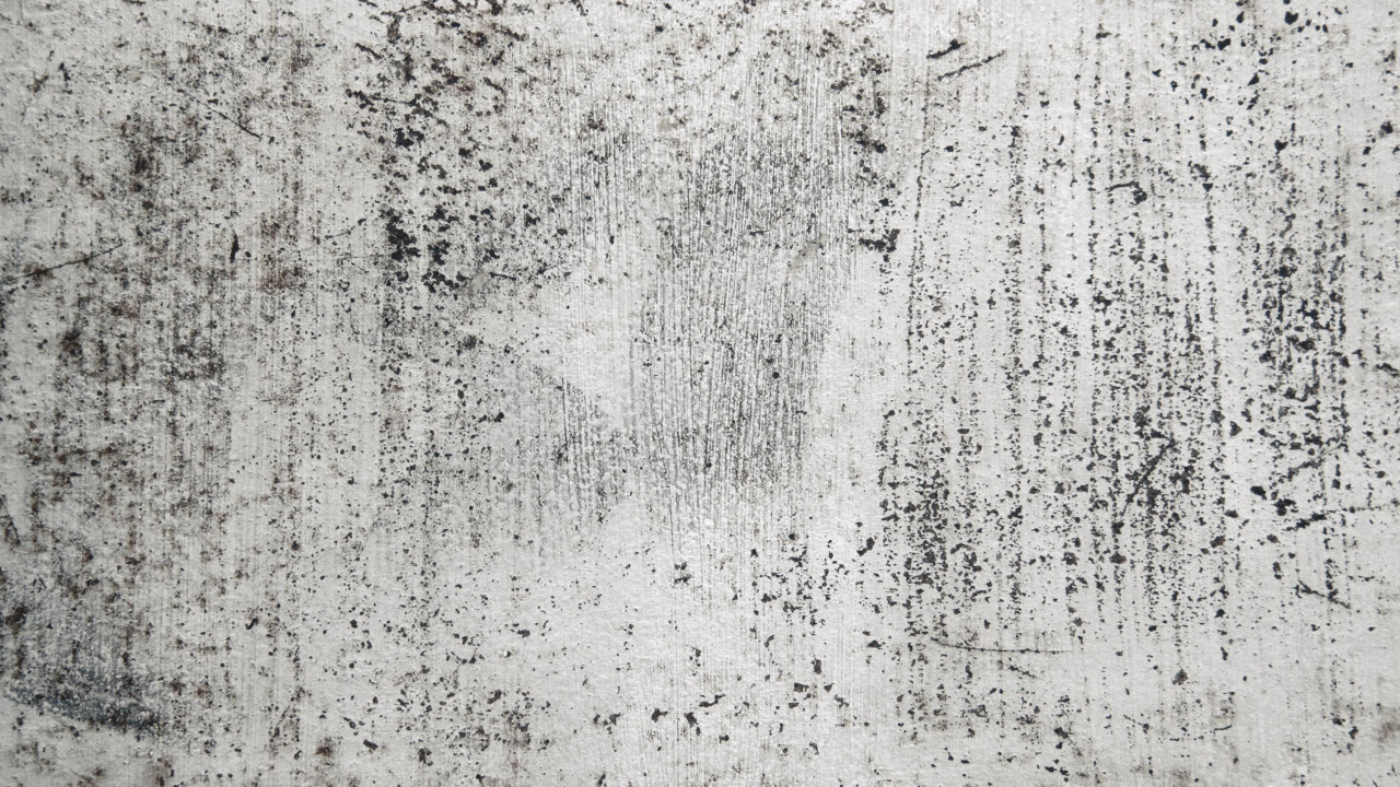 Обои стена, бетон, узор, передача, монохромный режим в разрешении 1280x720