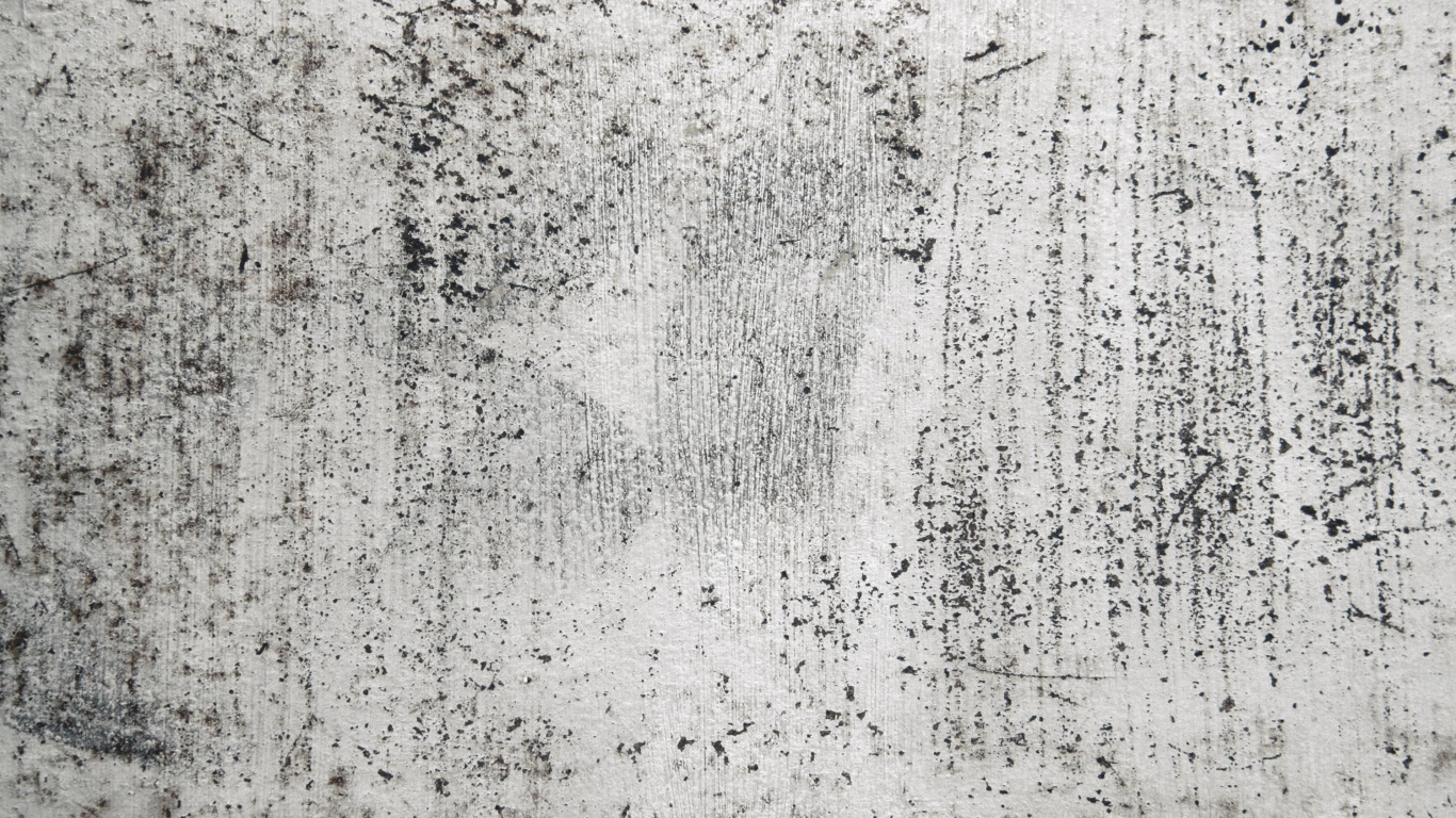 Обои стена, бетон, узор, передача, монохромный режим в разрешении 1366x768