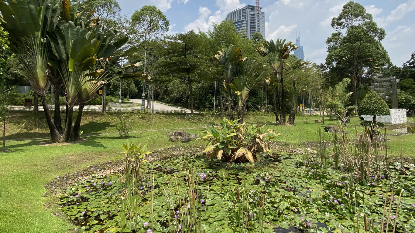 Обои растительность, растение, облако, дерево, земельный участок в разрешении 1366x768