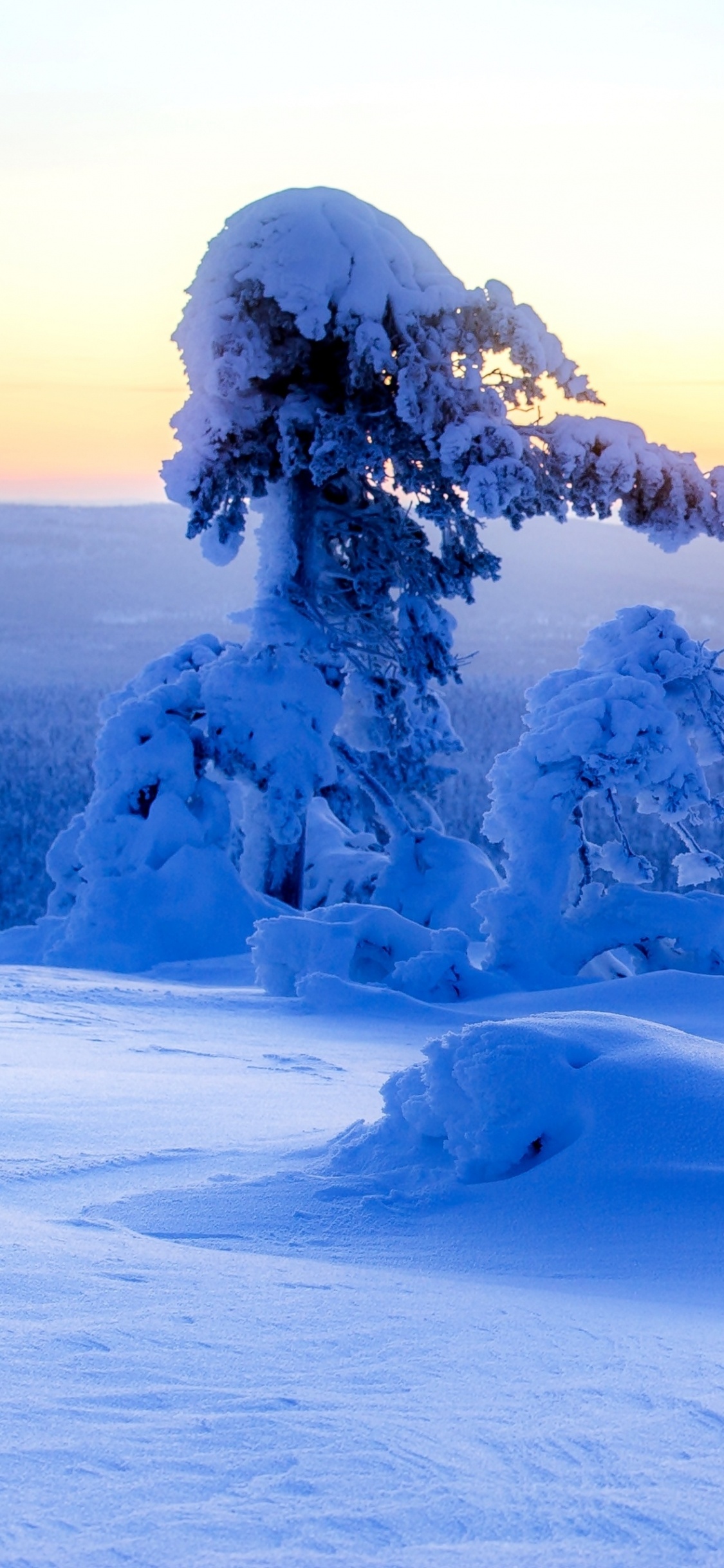 Обои снег, зима, лед, замораживание, тундра в разрешении 1125x2436