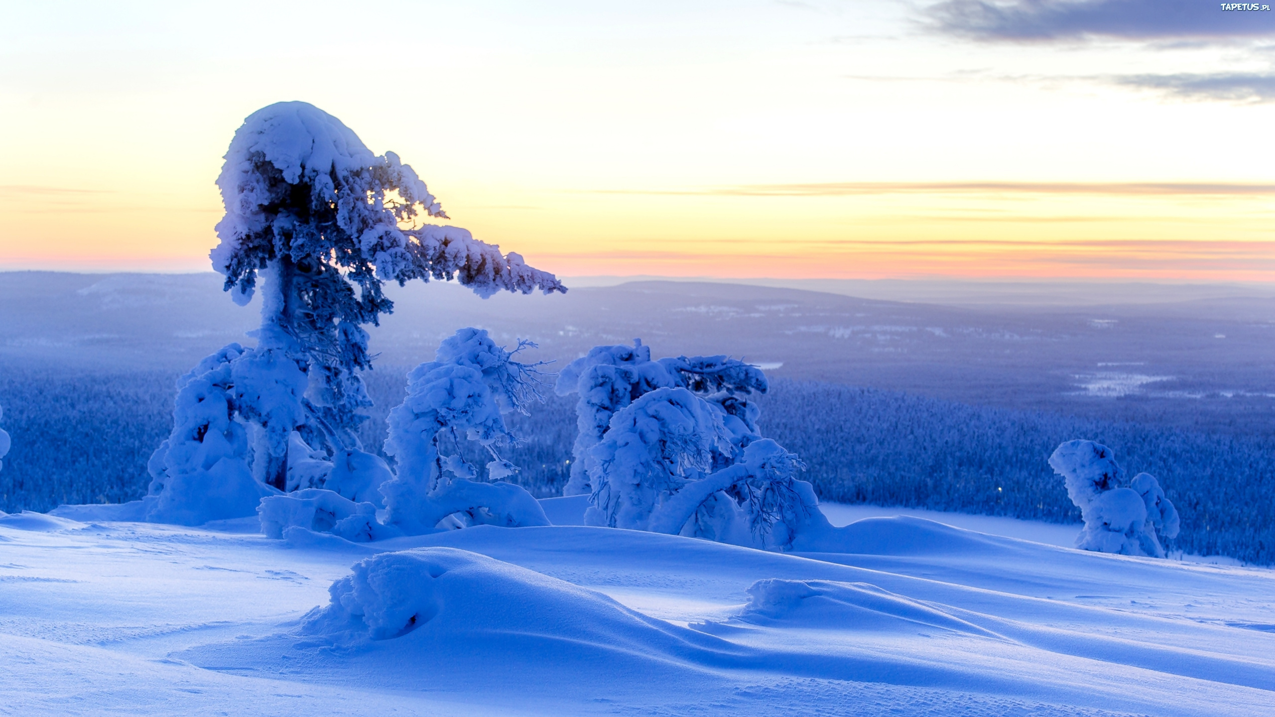 Обои снег, зима, лед, замораживание, тундра в разрешении 2560x1440