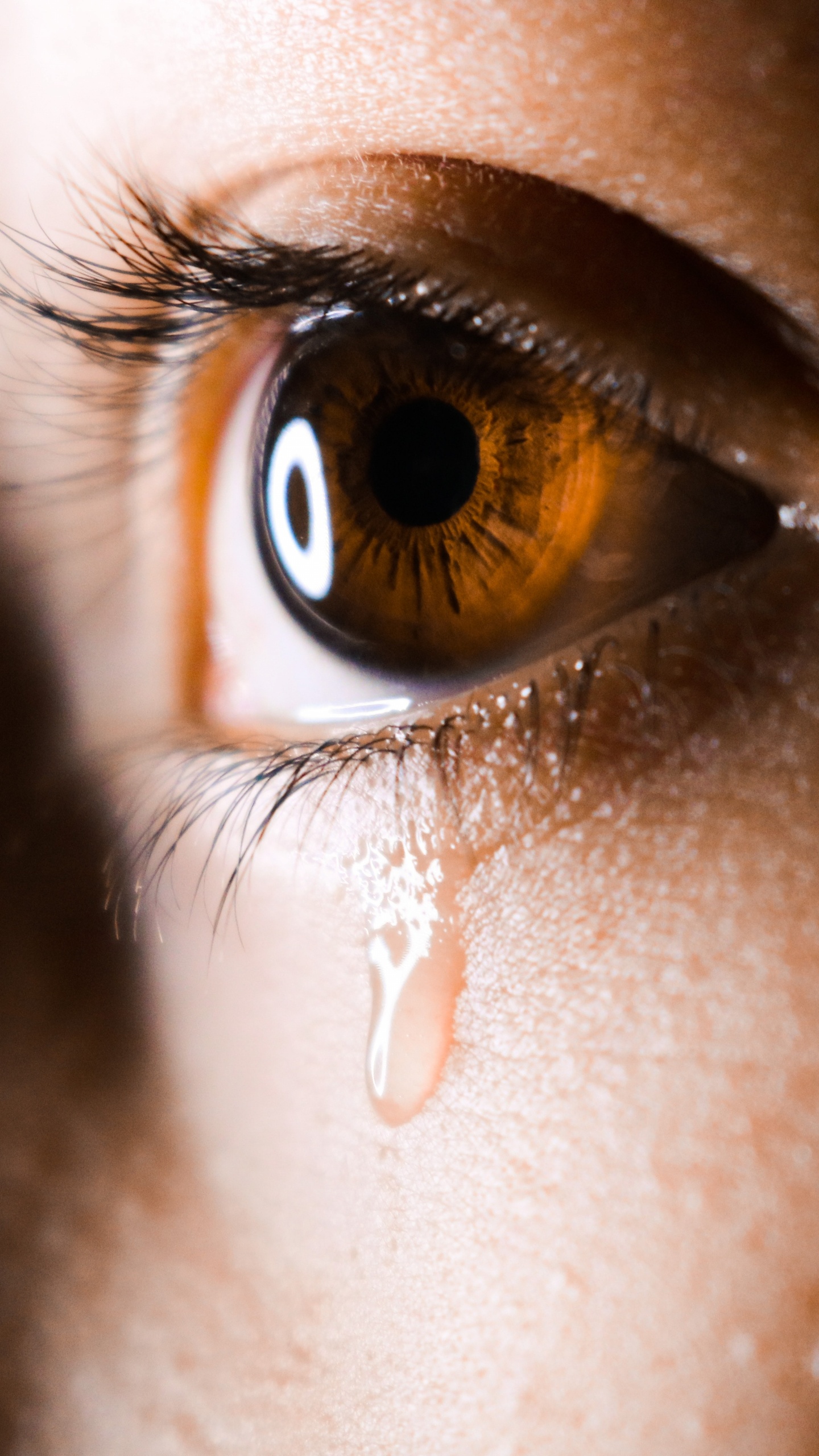 Обои страх, люди плачут, кожа, нос, орган в разрешении 1440x2560