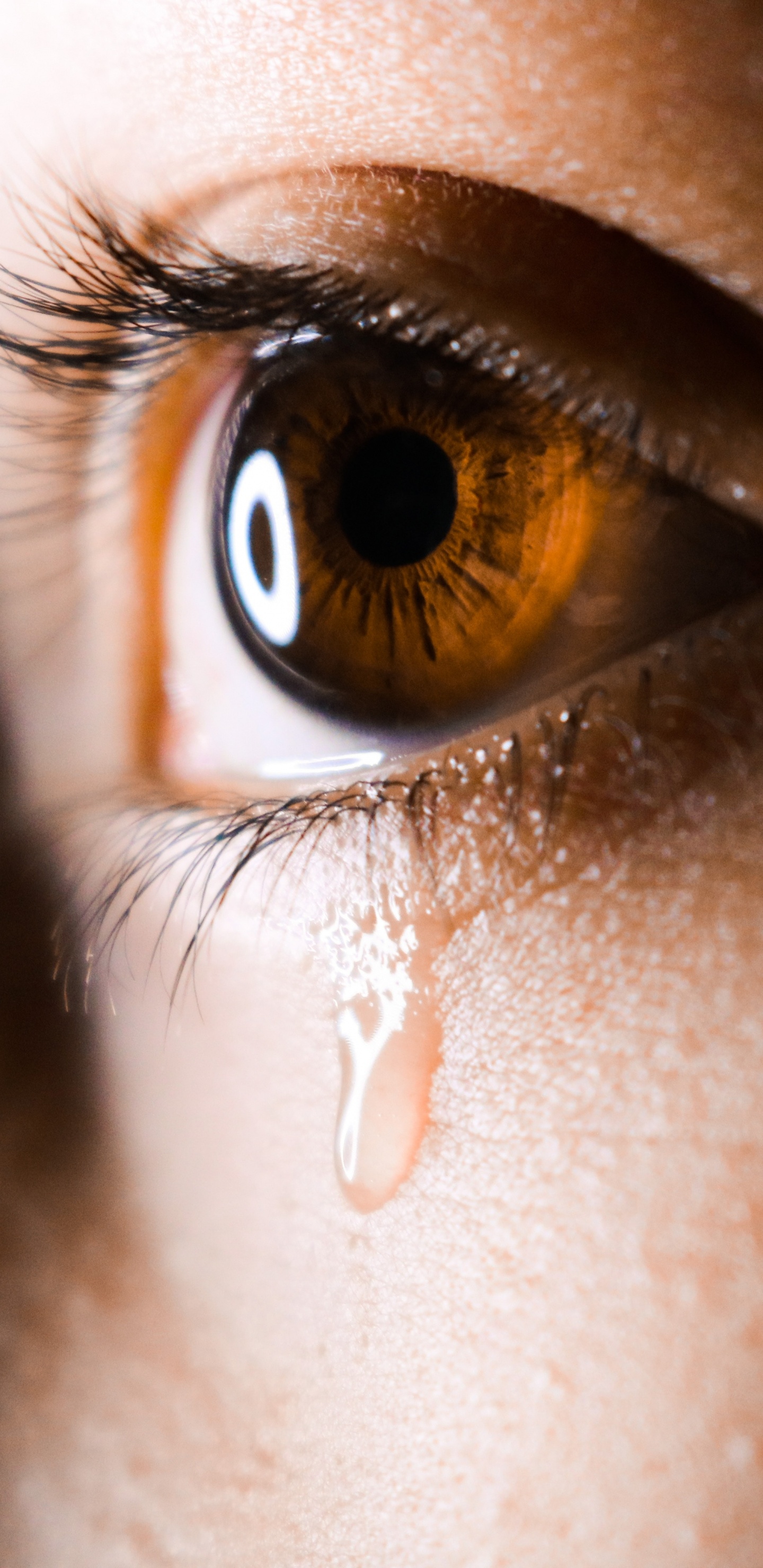 Обои страх, люди плачут, кожа, нос, орган в разрешении 1440x2960