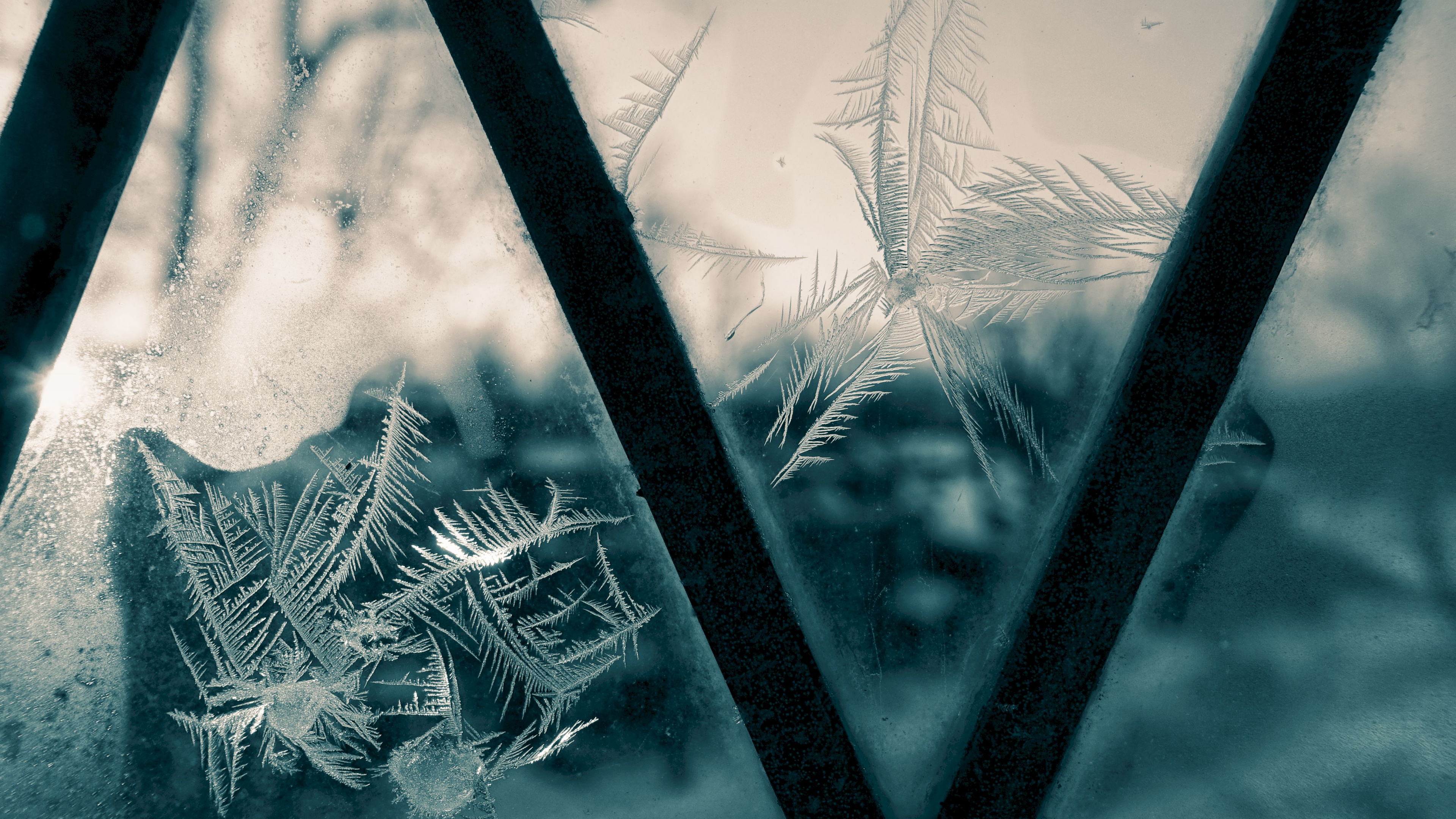 Обои лист, зеленый, вода, зима, стекло в разрешении 3840x2160