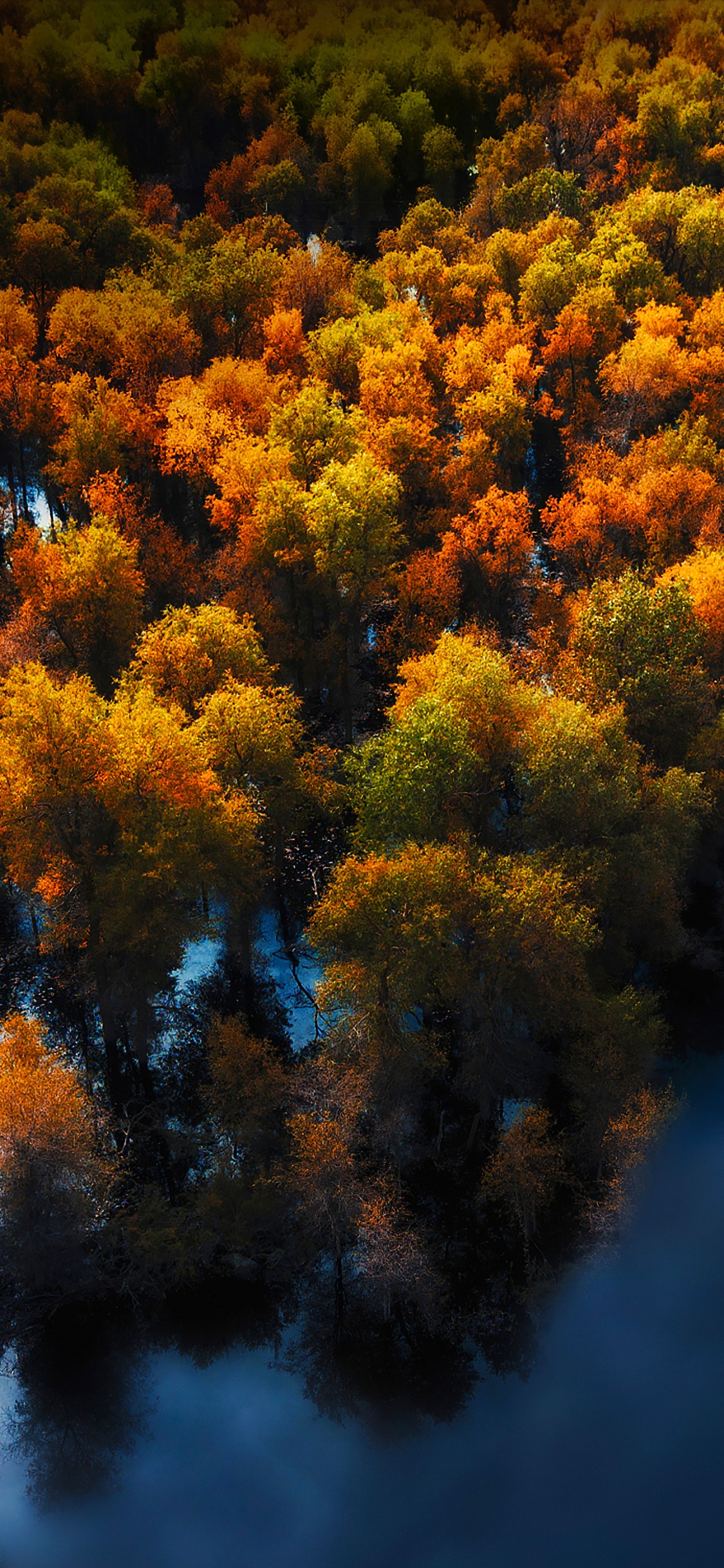 Обои Huawei, Huawei Mate, Huawei Mate 40 Pro, huawei p40, huawei mate 30 в разрешении 1125x2436