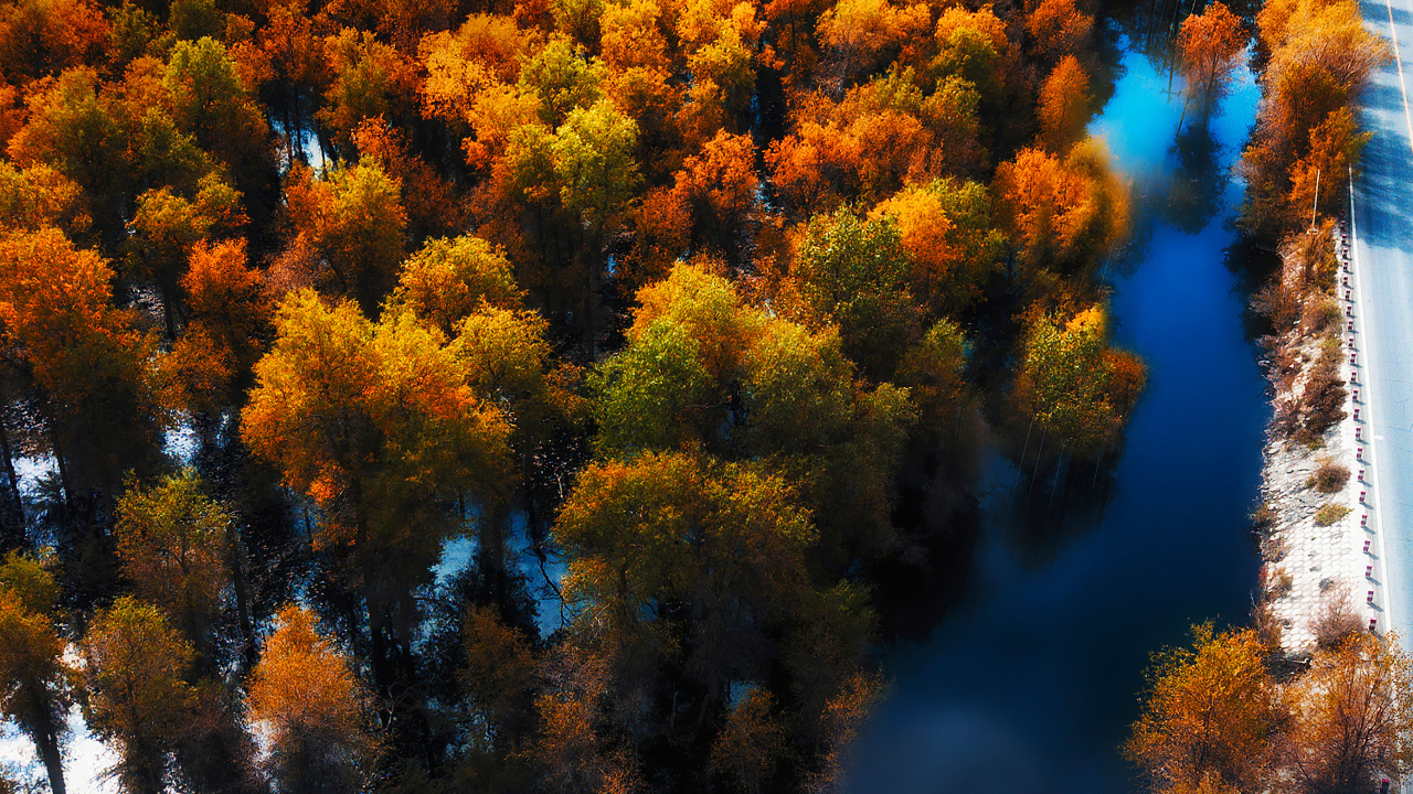 Обои Huawei, Huawei Mate, Huawei Mate 40 Pro, huawei p40, huawei mate 30 в разрешении 1280x720