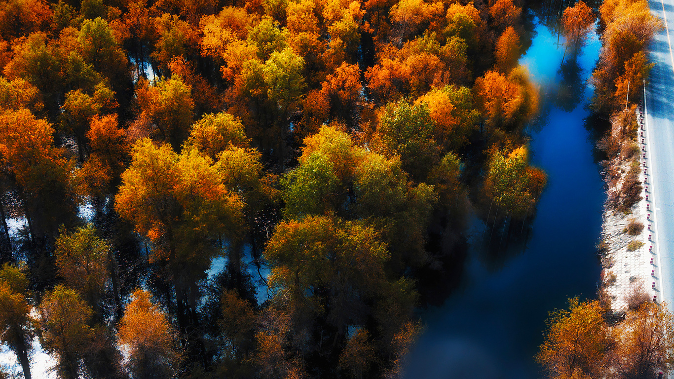 Обои Huawei, Huawei Mate, Huawei Mate 40 Pro, huawei p40, huawei mate 30 в разрешении 1366x768