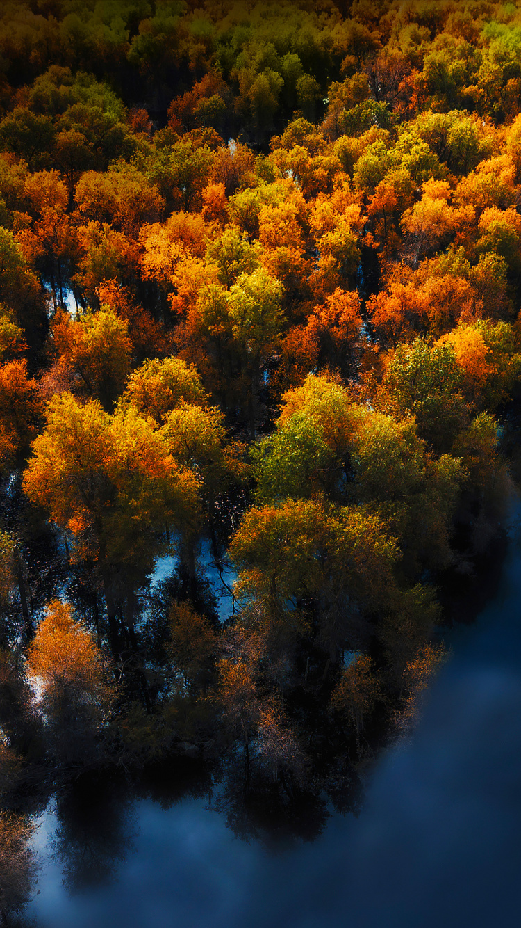 Обои Huawei, Huawei Mate, Huawei Mate 40 Pro, huawei p40, huawei mate 30 в разрешении 750x1334