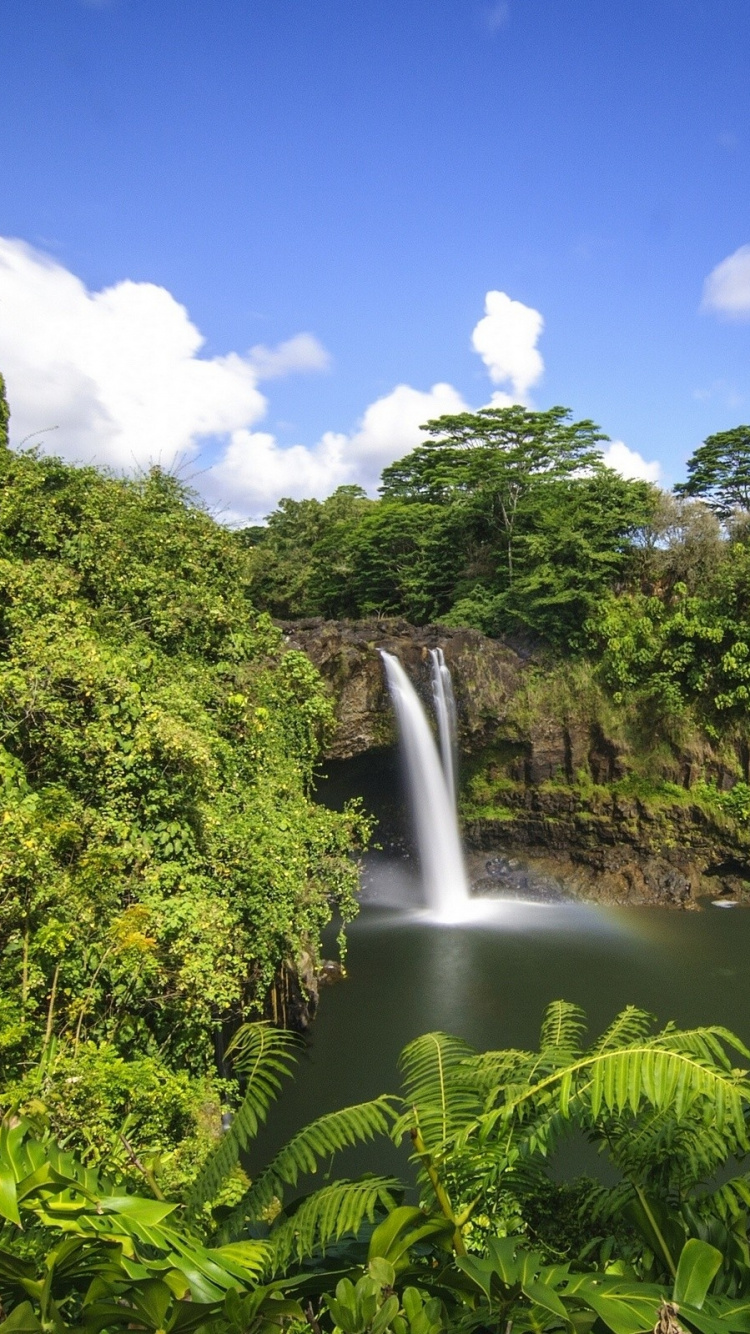 Обои Радужный водопад, гидроресурсы, растительность, природа, водоем в разрешении 750x1334