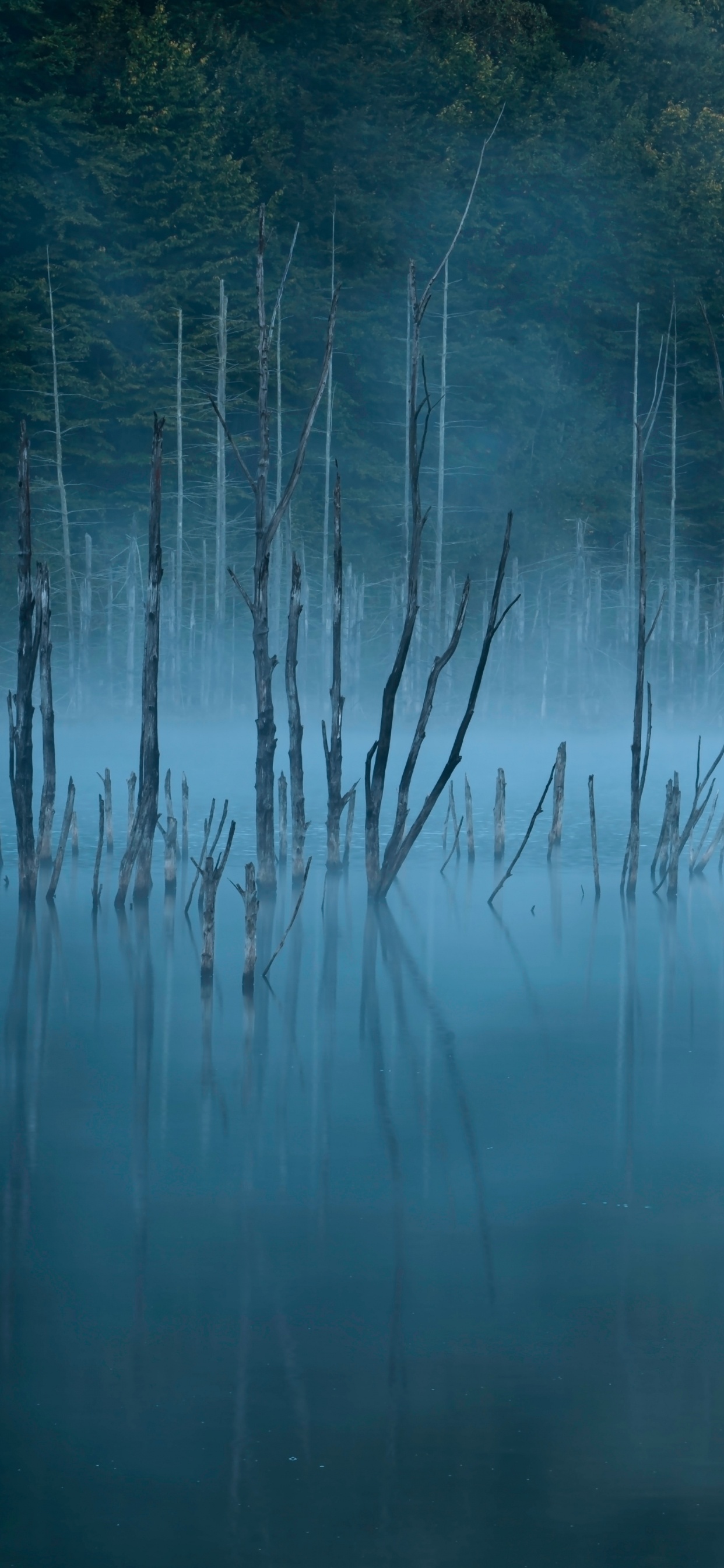 Обои Даниил mirlea, природа, синий, вода, отражение в разрешении 1242x2688