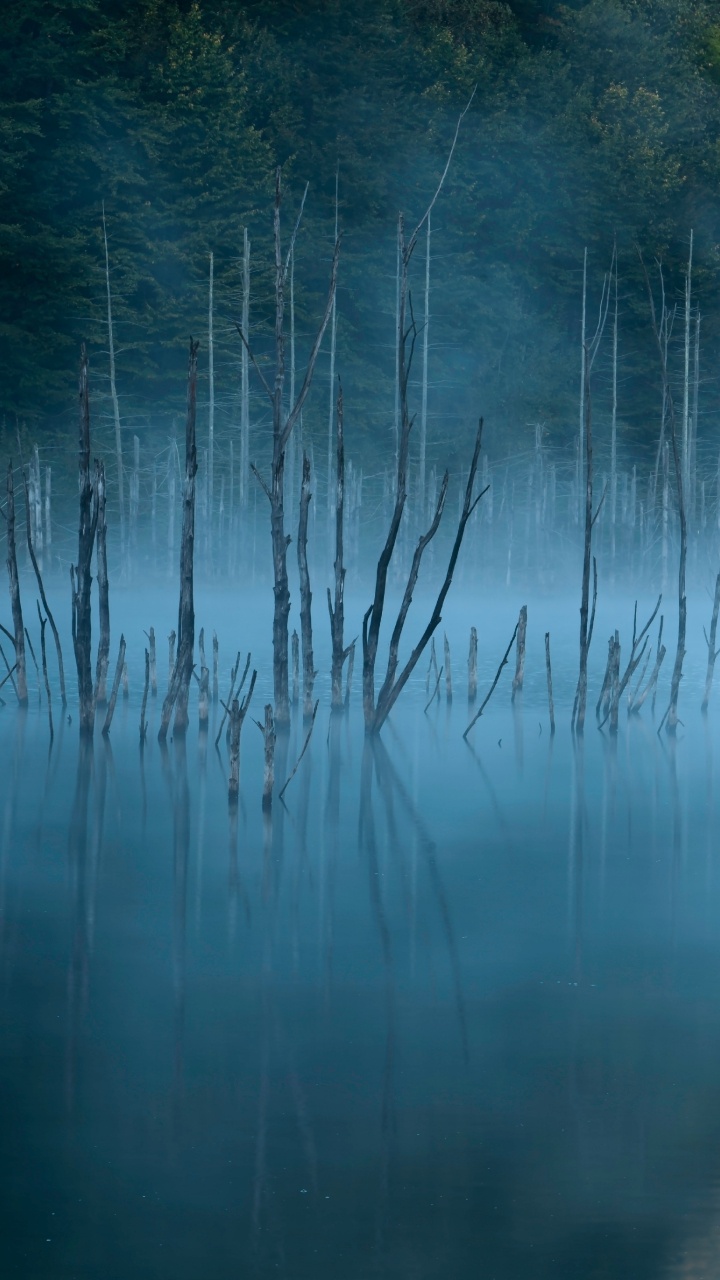 Обои Даниил mirlea, природа, синий, вода, отражение в разрешении 720x1280